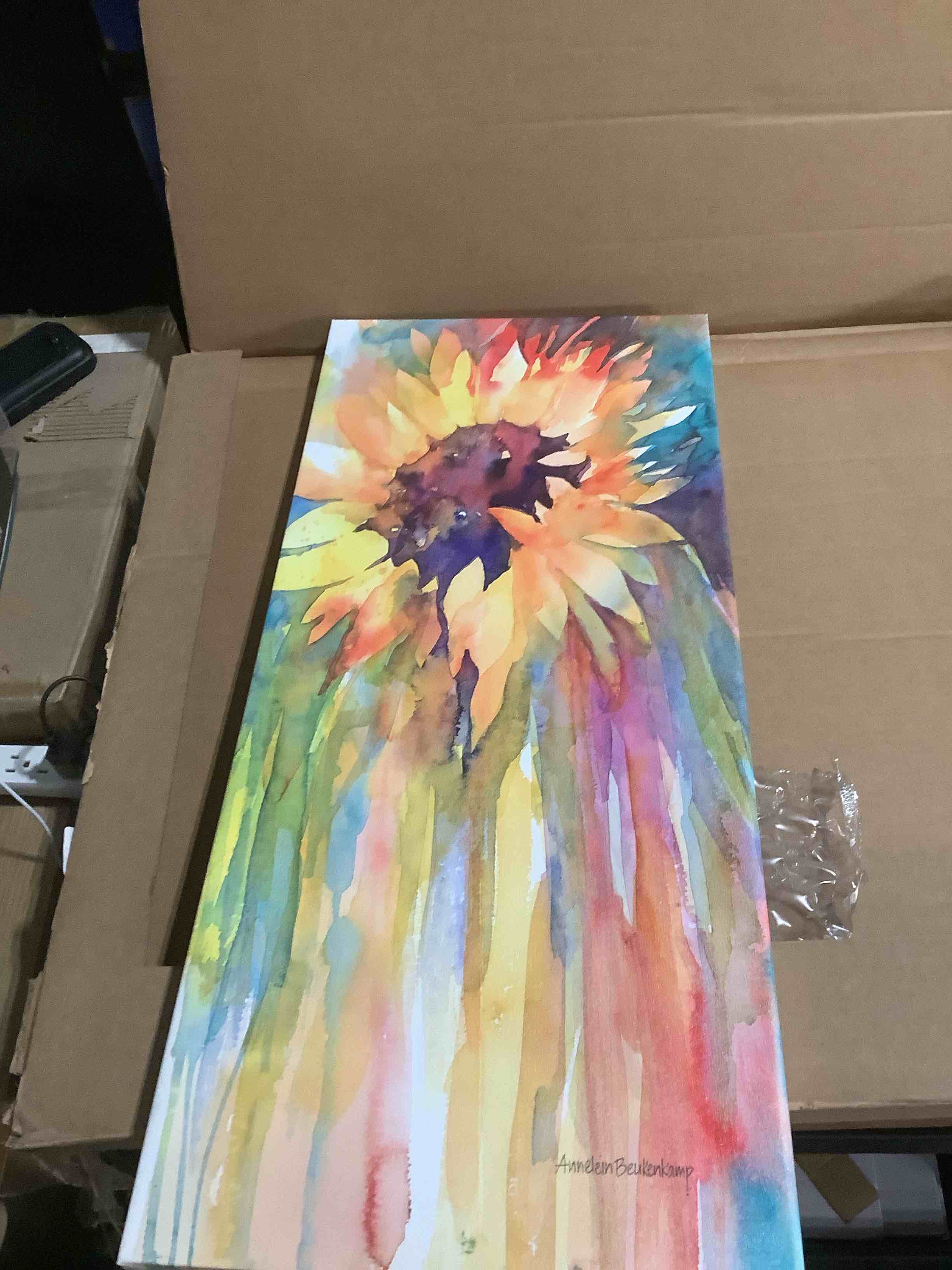 Condition photo showing Good Condition for Trademark Fine Art ALI38236-C1432GG Rays of Sun by Annelein Beukenkamp Fine Art, 14x32-Inch, Multicolor