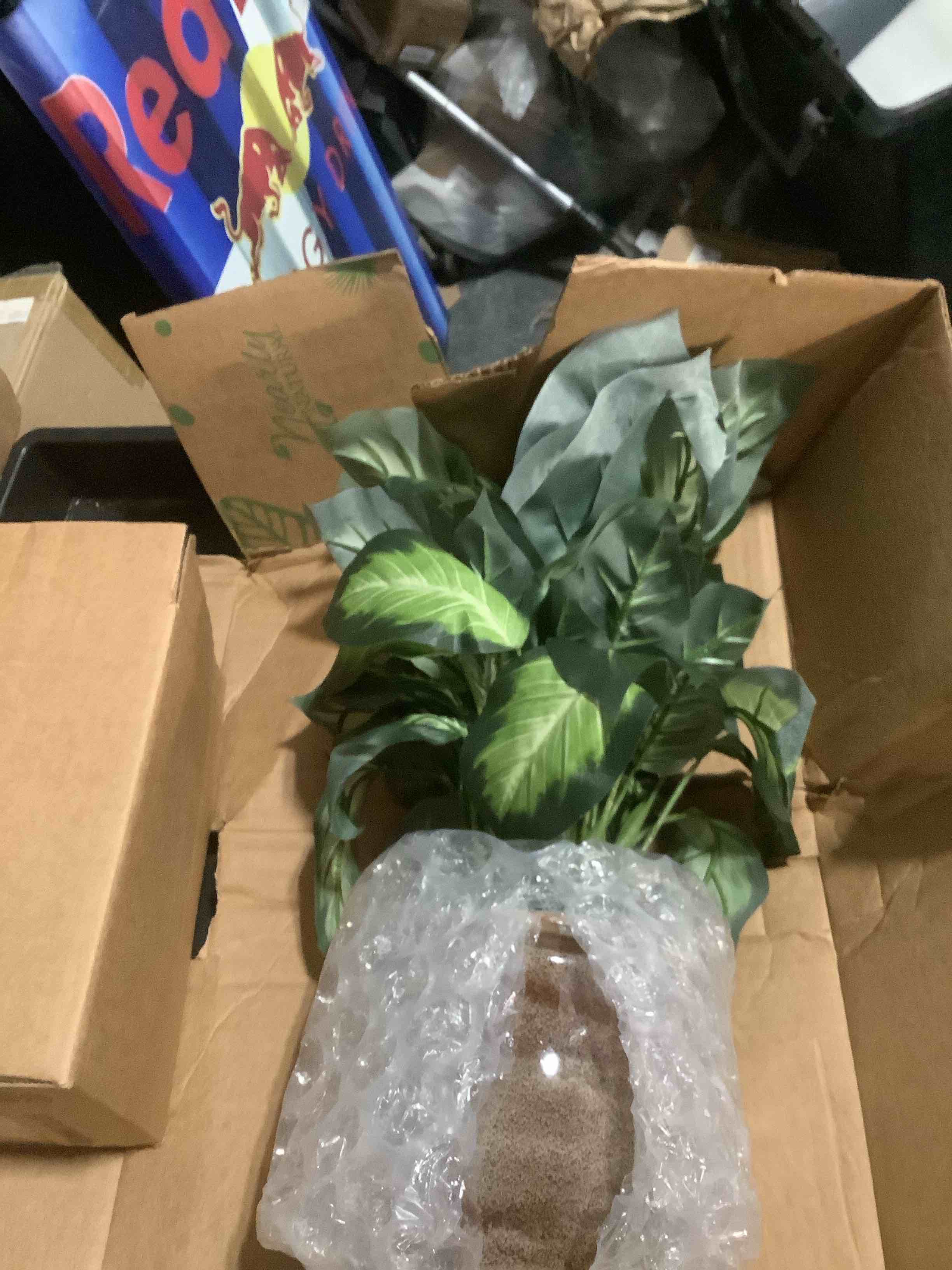 Condition photo showing Good Condition for Nearly Natural Artificial Dieffenbachia Plant Faux Greenery in Ceramic Planter for Indoor Home Decor