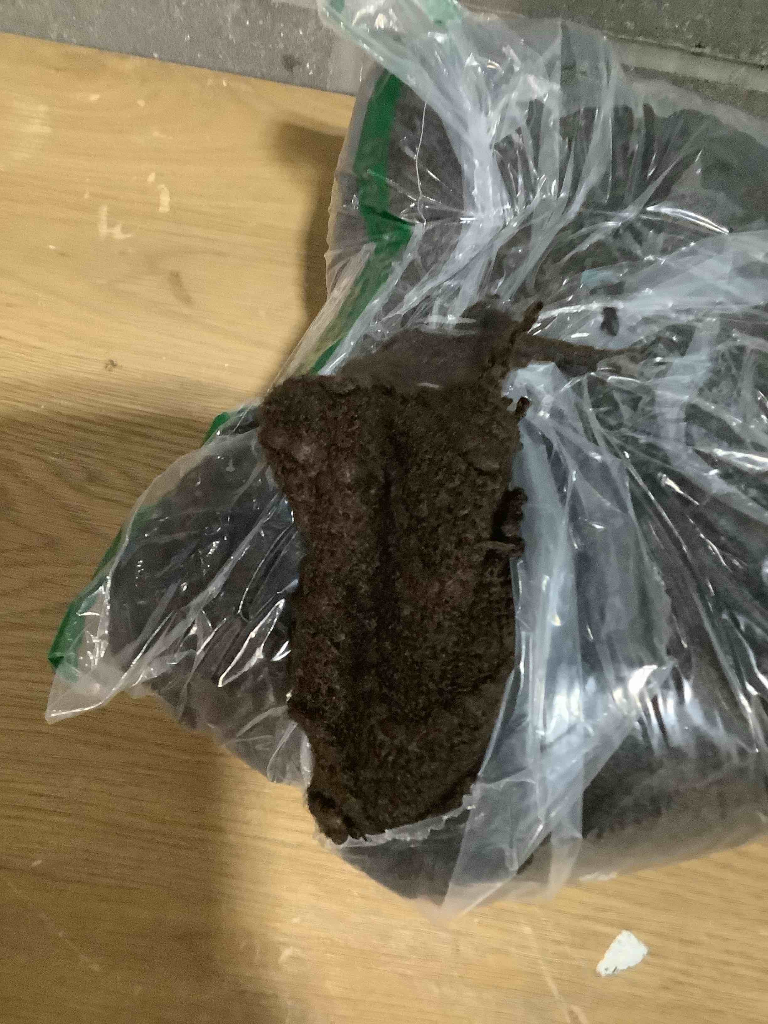 Condition photo showing Good Condition for BATTILO HOME Dark Brown Throw Blanket for Couch, Boho Throw Blanket for Home Decor, Decorative Chocolate Knit Throw Blankets for Chair Sofa, Bed, 50"x60"