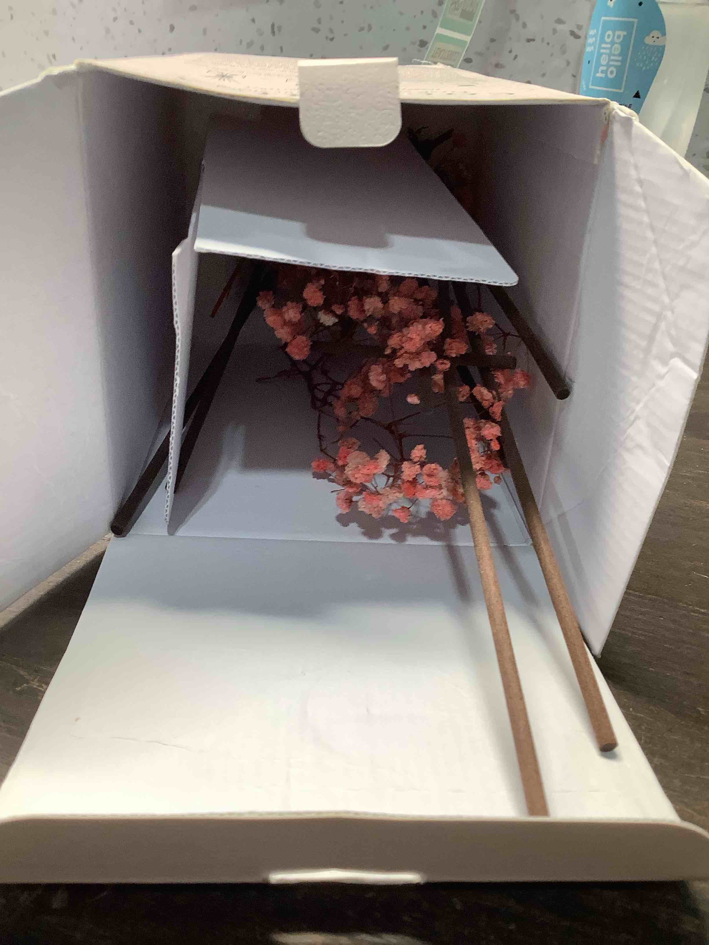 Condition photo showing Good Condition for COCORRÍNA Reed Diffuser - Cherry Blossom 17 Fl.oz Reed Diffuser with 8 Sticks Scented Diffuser with Preserved Flowers for Bathroom Home Decor Cherry Blossom - Flower 17 Ounce/1pack