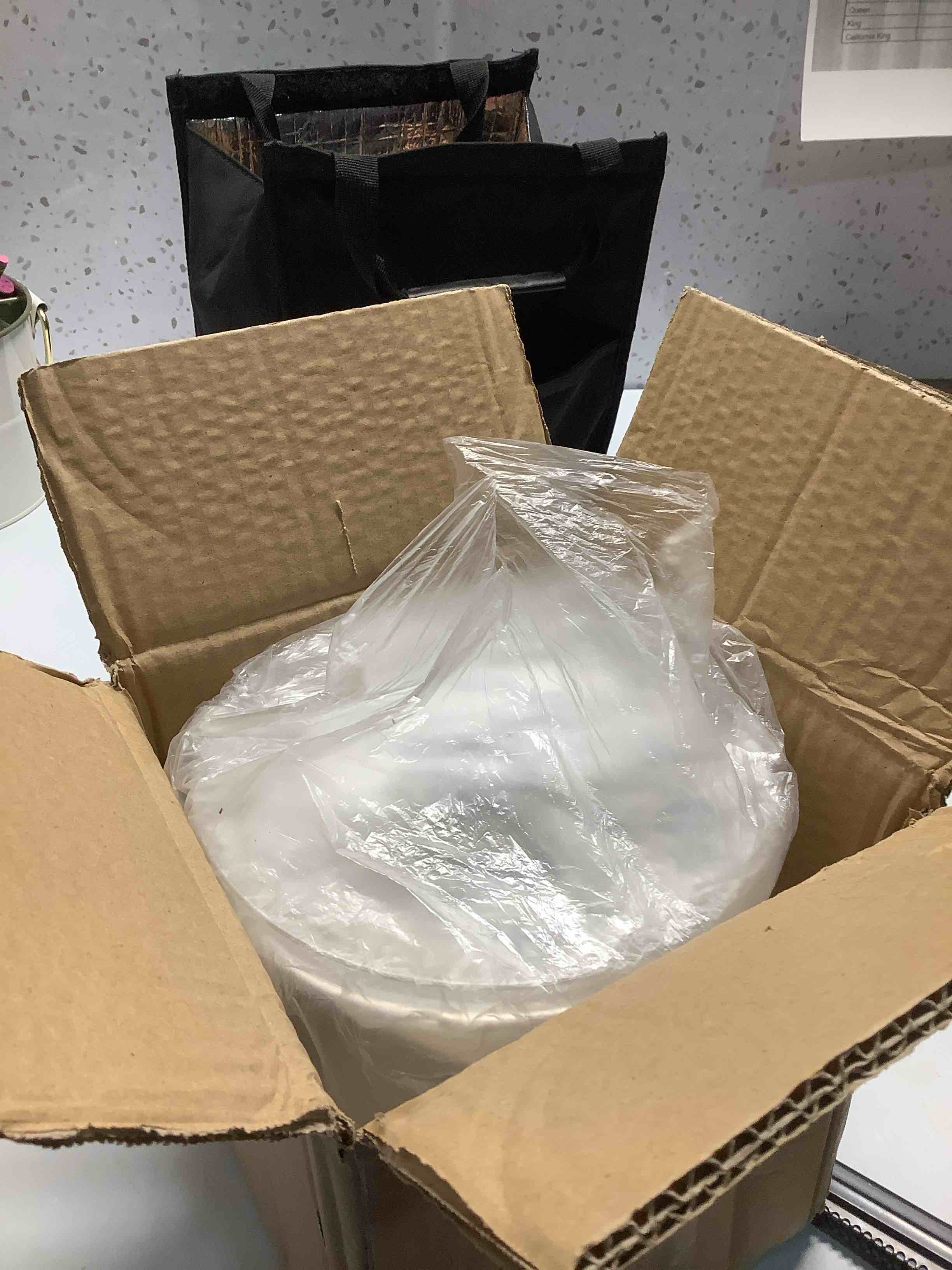 Condition photo showing Good Condition for Ice Bucket with Airtight Lid, Champagne Bucket with Handle, Plastic Beverage Tub for Parties, Bar Cart Accessories for Wine, Drink, Beer Bottles, Clear 1 Pack