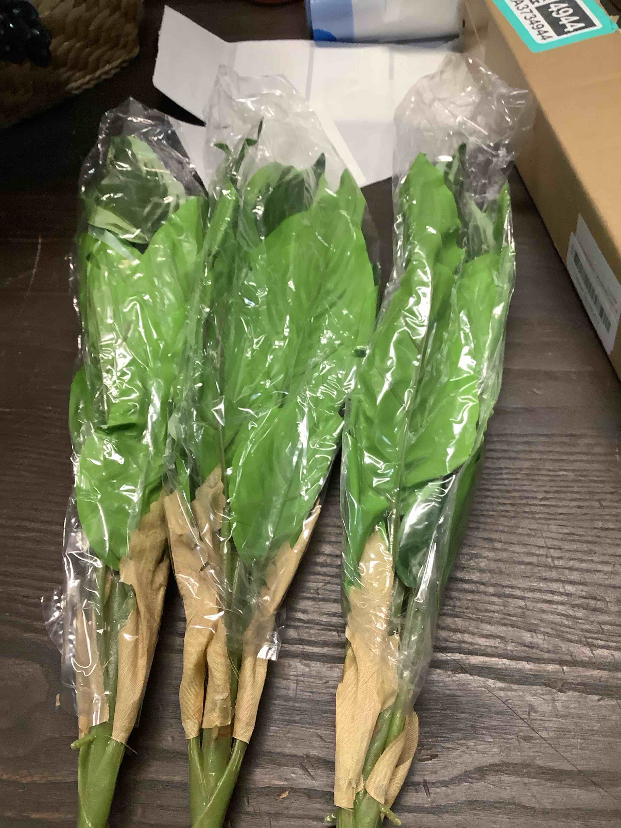 https://s3.amazonaws.com/lotting-images-prod/NKYBargainOutlett/TEA3904120_1777657553863.jpeg
