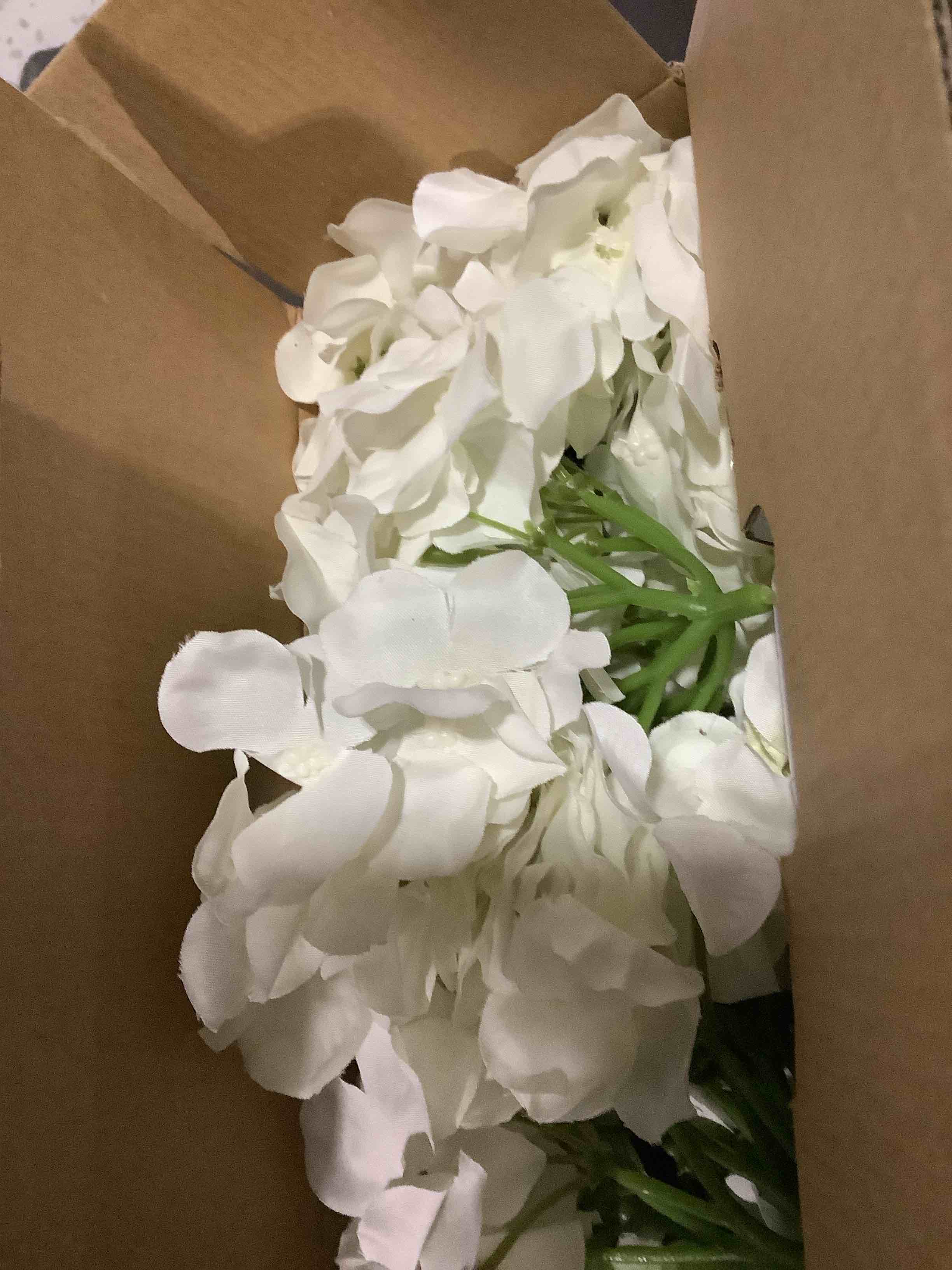 https://s3.amazonaws.com/lotting-images-prod/NKYBargainOutlett/TEA3904213_1777910089174.jpeg