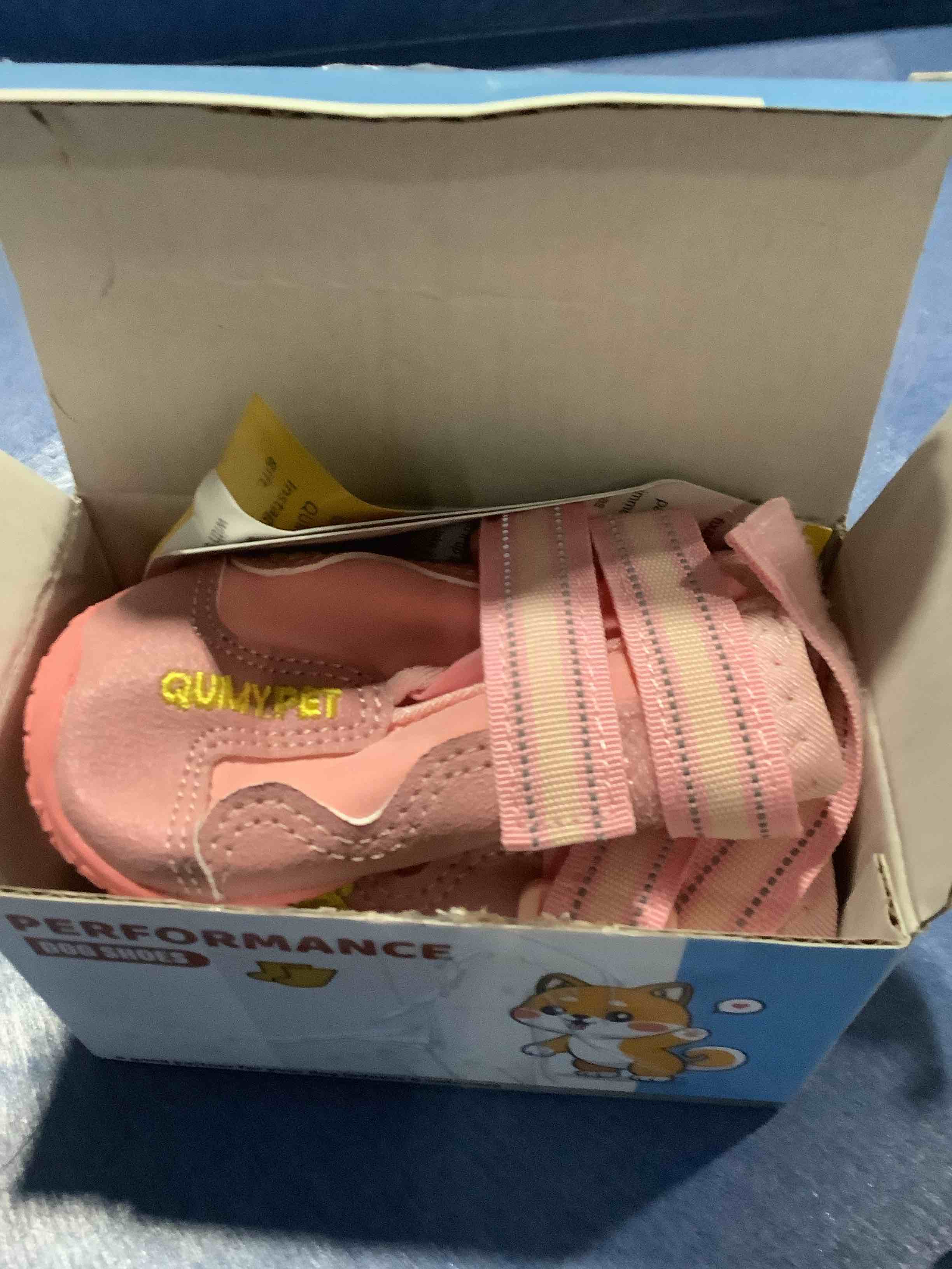 https://s3.amazonaws.com/lotting-images-prod/NKYBargainOutlett/TEA3904245_1777995072080.jpeg