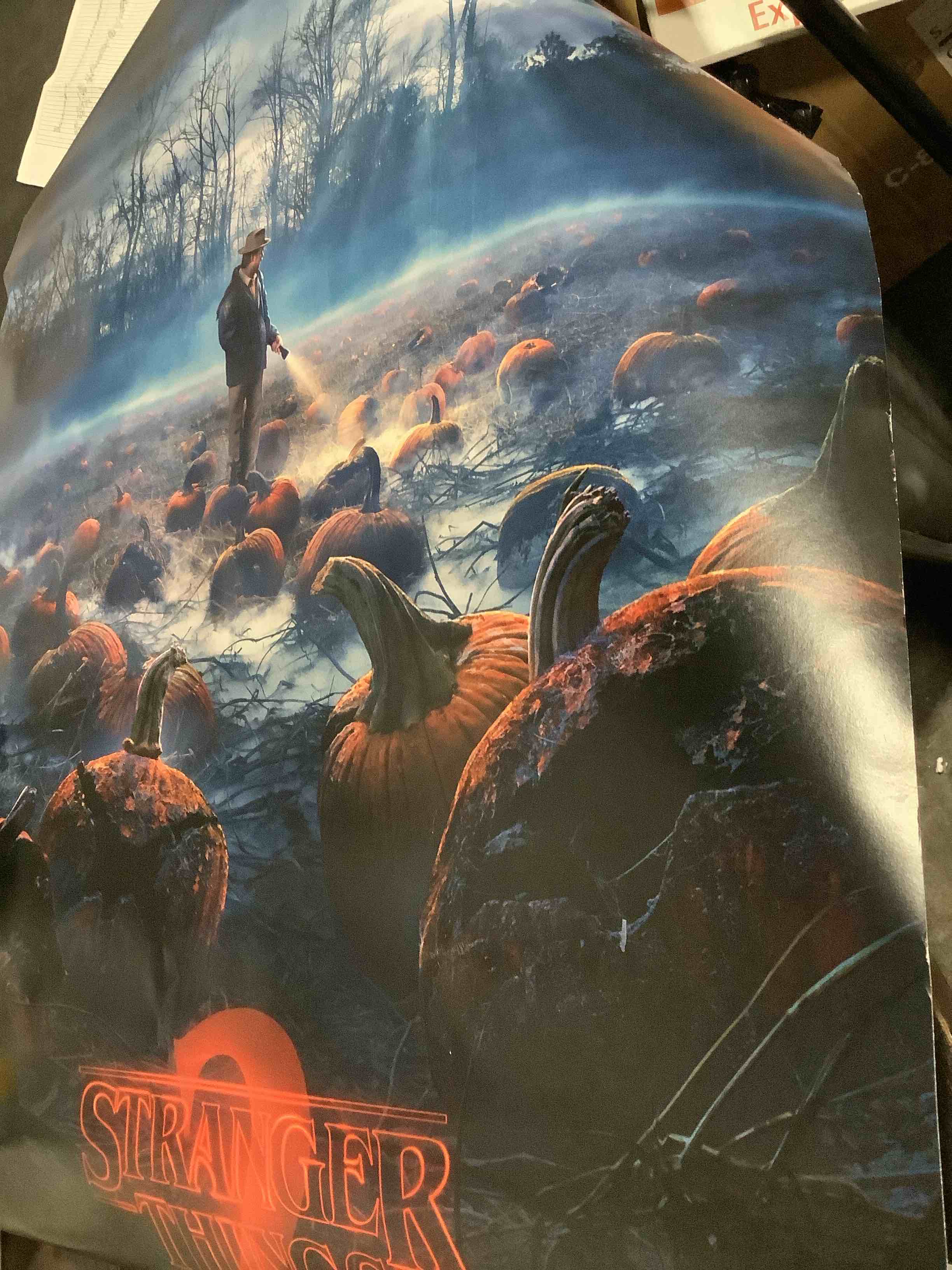 Condition photo showing Good Condition for trends international netflix stranger things: season 2 - pumpkins wall poster, 22.375" x 34", premium unframed version premium unframed version 34"l x 22.4"w