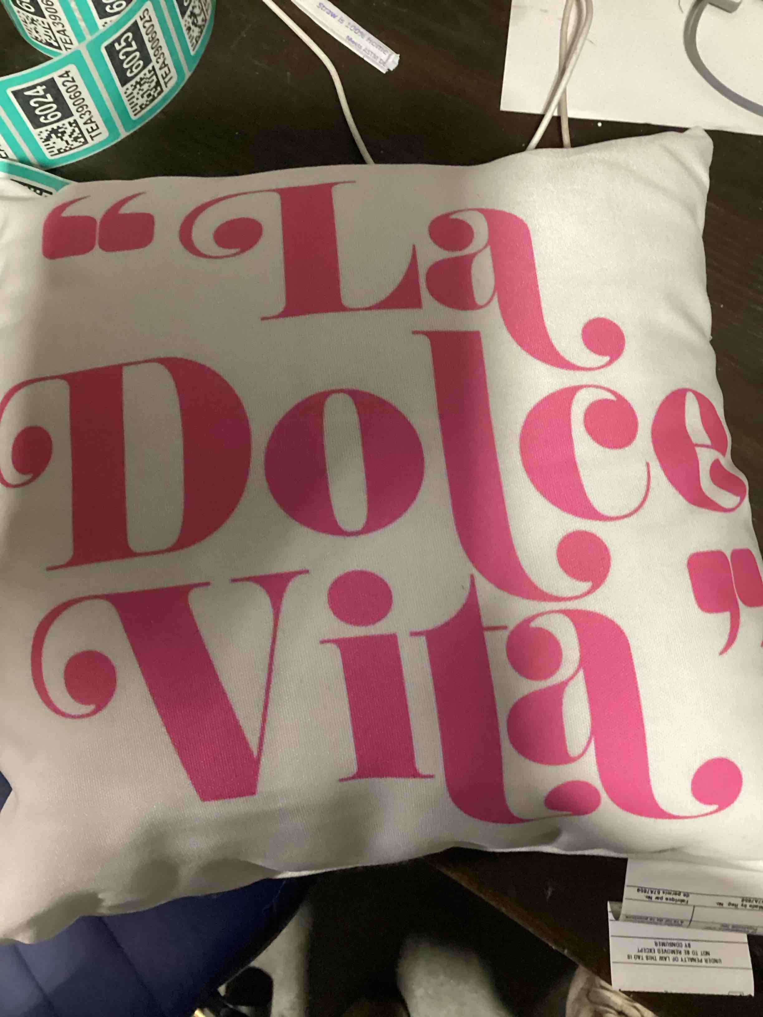 Condition photo showing Good Condition for urbanbuzz la dolce vita throw pillow, 16x16, multicolor