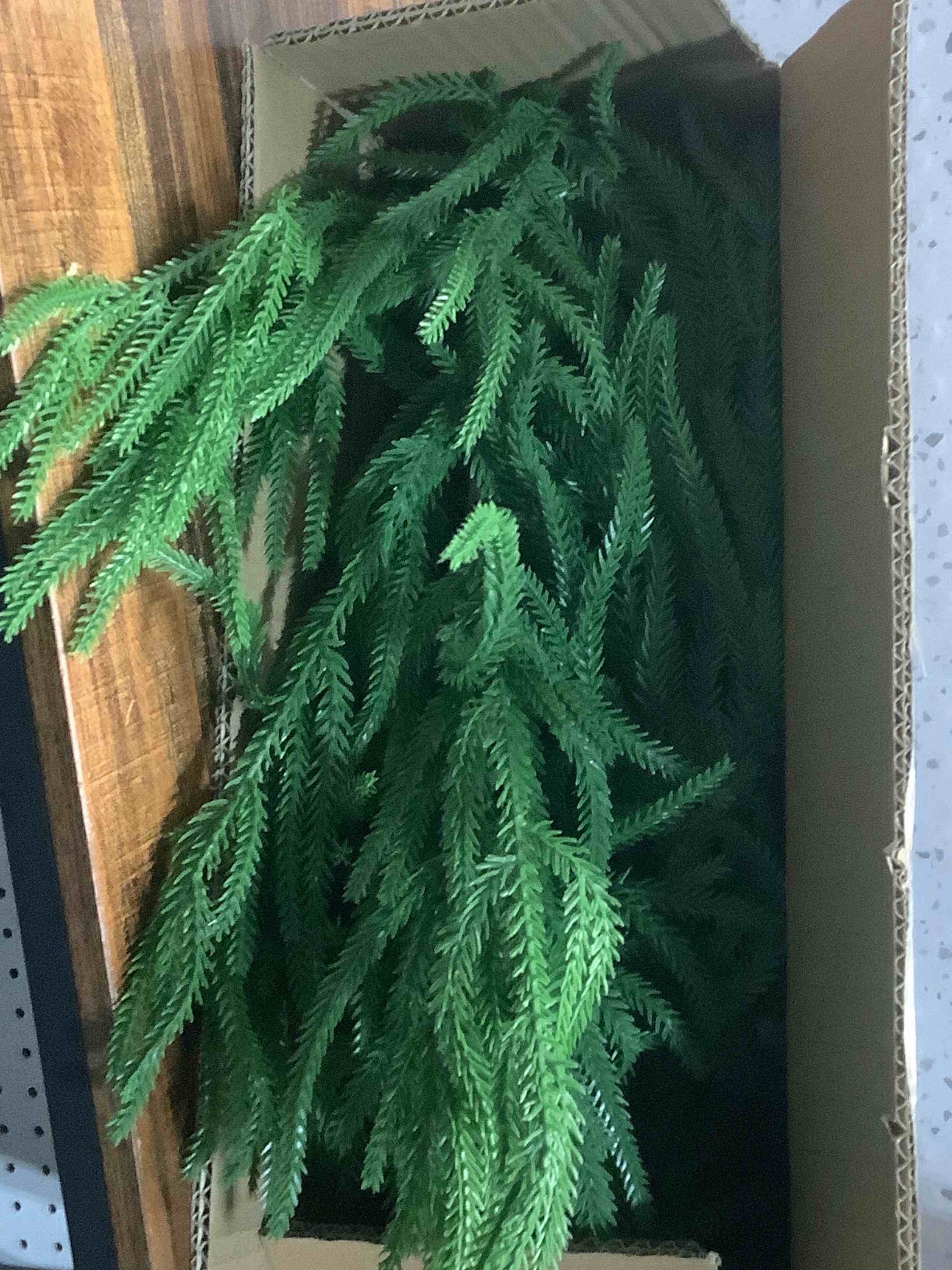 Condition photo showing Good Condition for 9FT Christmas Garlands Norfolk Pine Garland Real Touch Artificial Faux Greenery Garland for Holiday Indoor Outdoor Decor 9FT 1