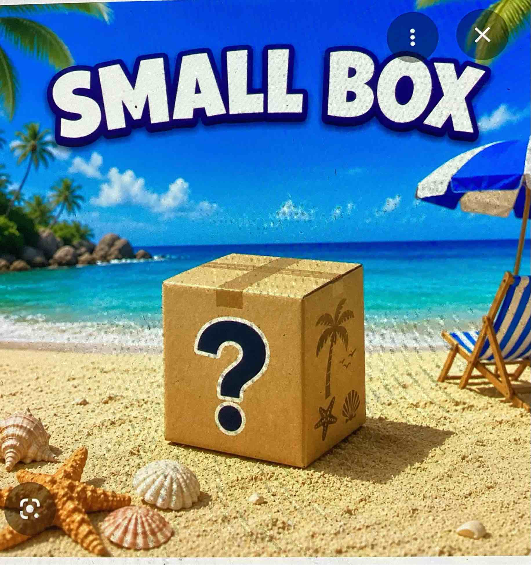 mystery box—pool time summer fun— mystery box