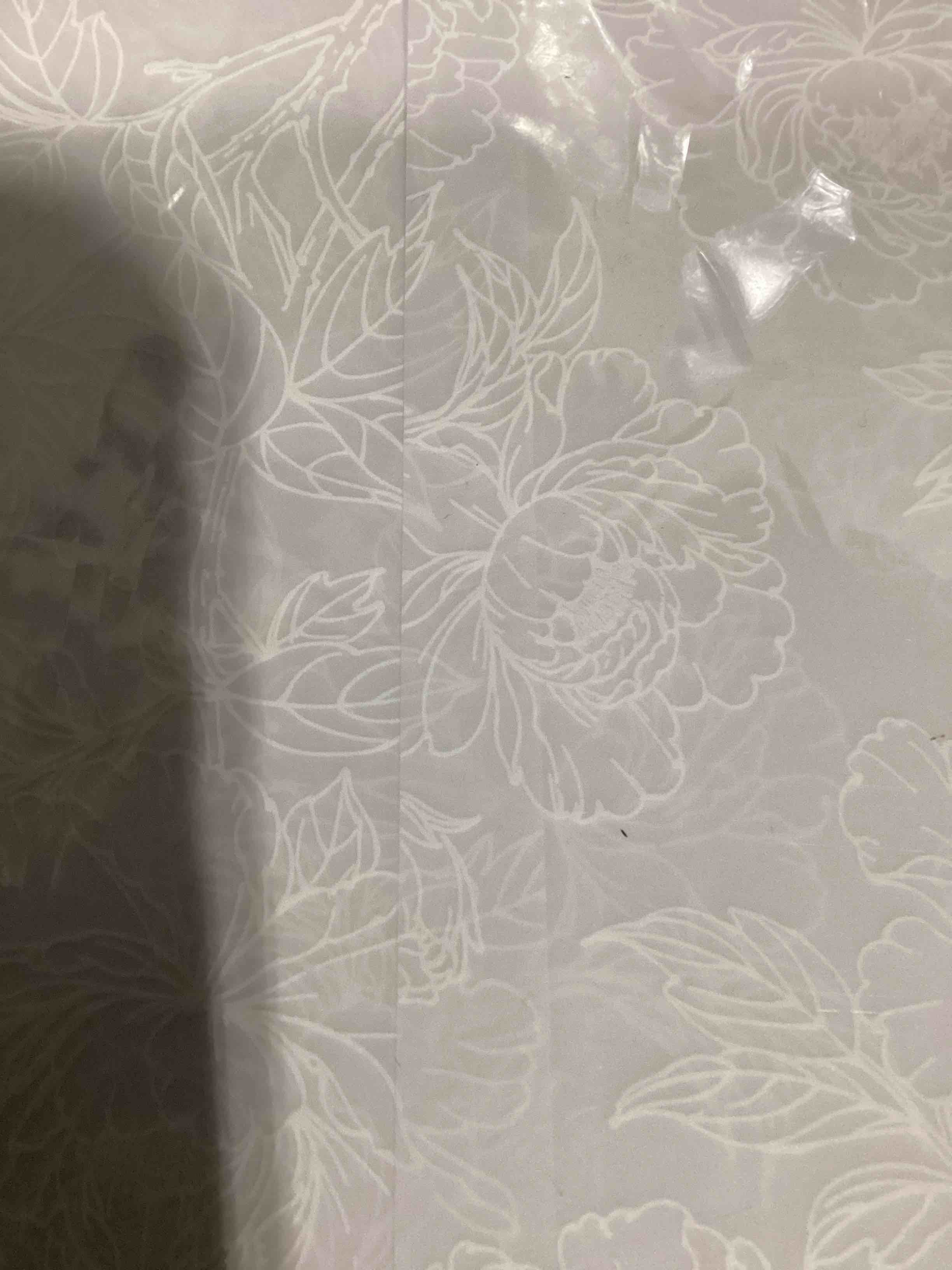 Condition photo showing New/Like New for goefun 115gsm pre-folded floral vellum jackets for 5x7 invitations 120 pack | vellum paper 5x7, invitation covers with white flower pattern for wedding invitation wraps, baby showers, greetings pattern-white peony 5x7-120pcs