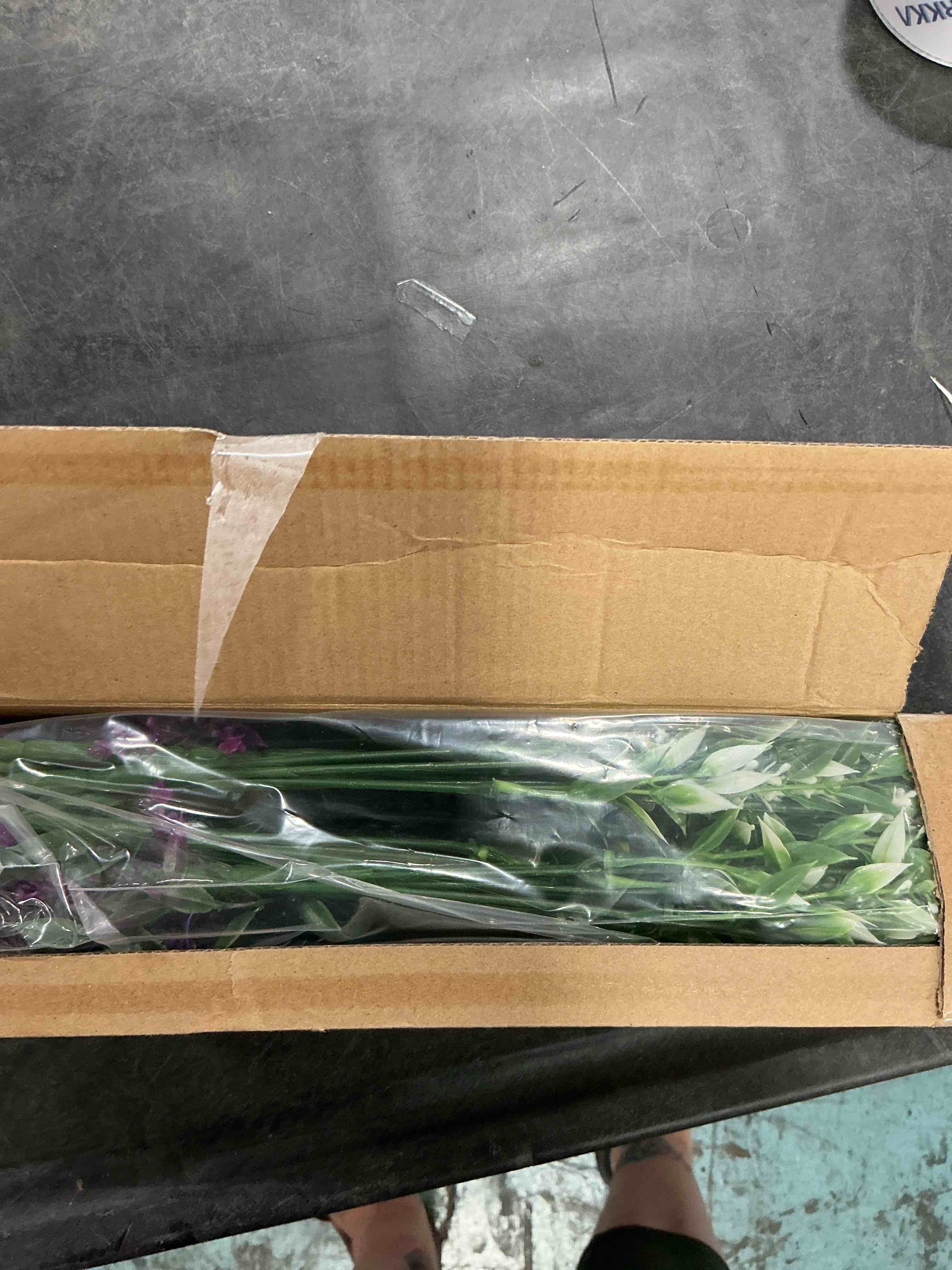 https://s3.amazonaws.com/lotting-images-prod/NonstopDeals/BRN3616849_1757097399574.jpeg