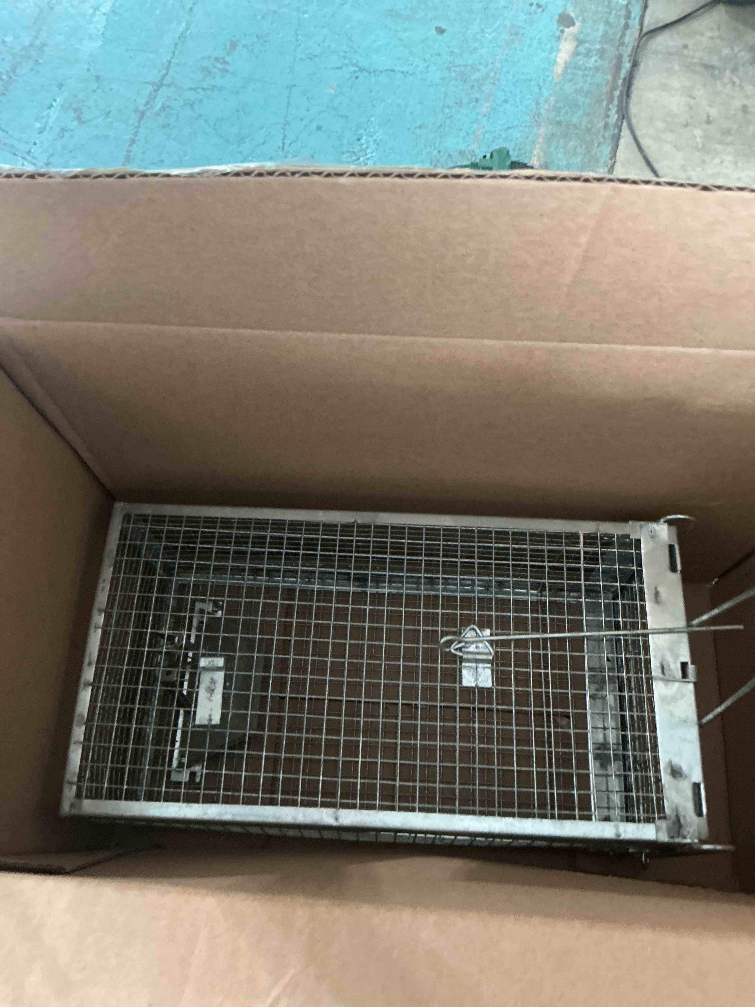 https://s3.amazonaws.com/lotting-images-prod/NonstopDeals/BRN3617696_1757690528407.jpeg