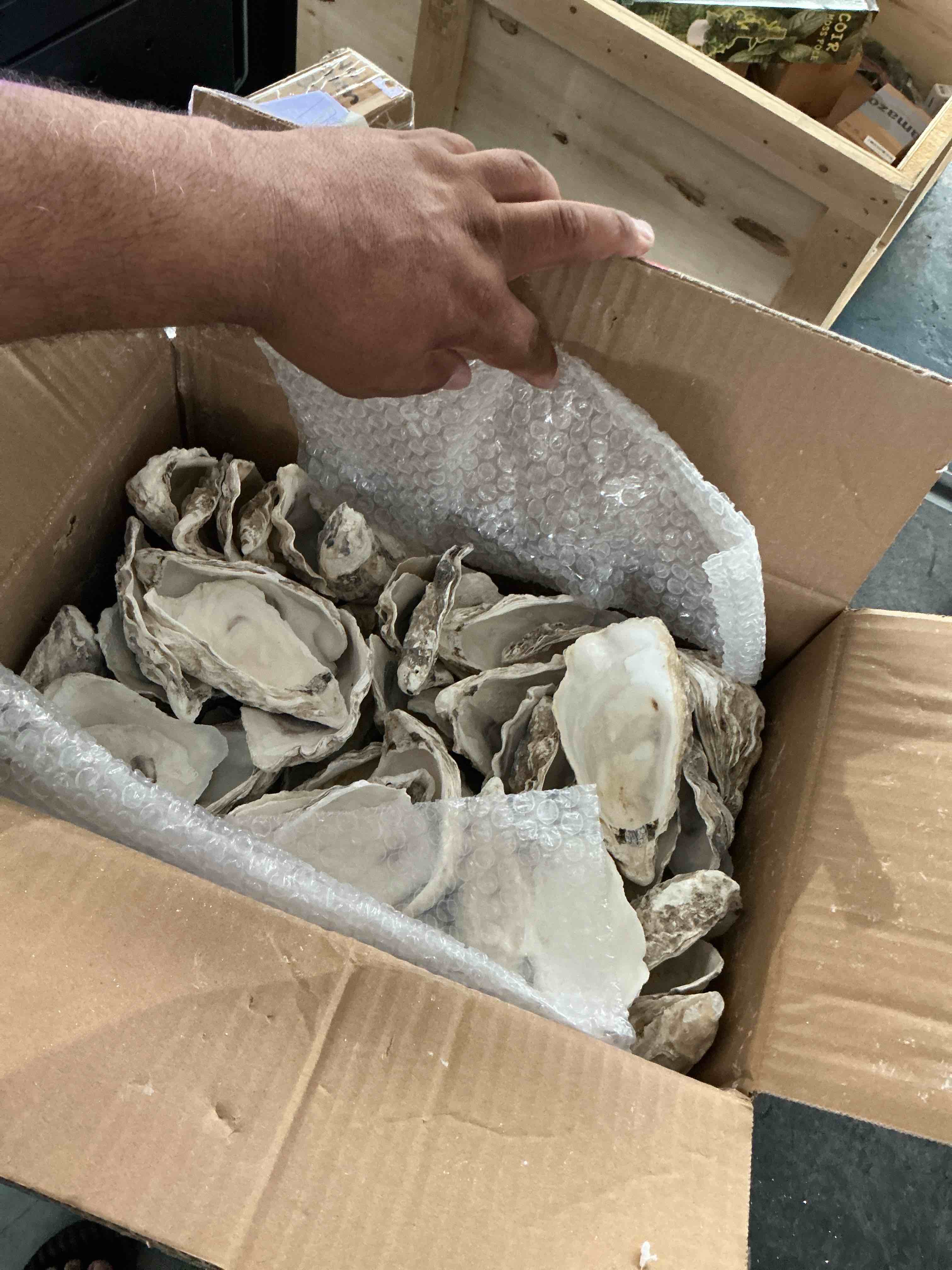 https://s3.amazonaws.com/lotting-images-prod/NonstopDeals/BRN3618254_1758051993477.jpeg