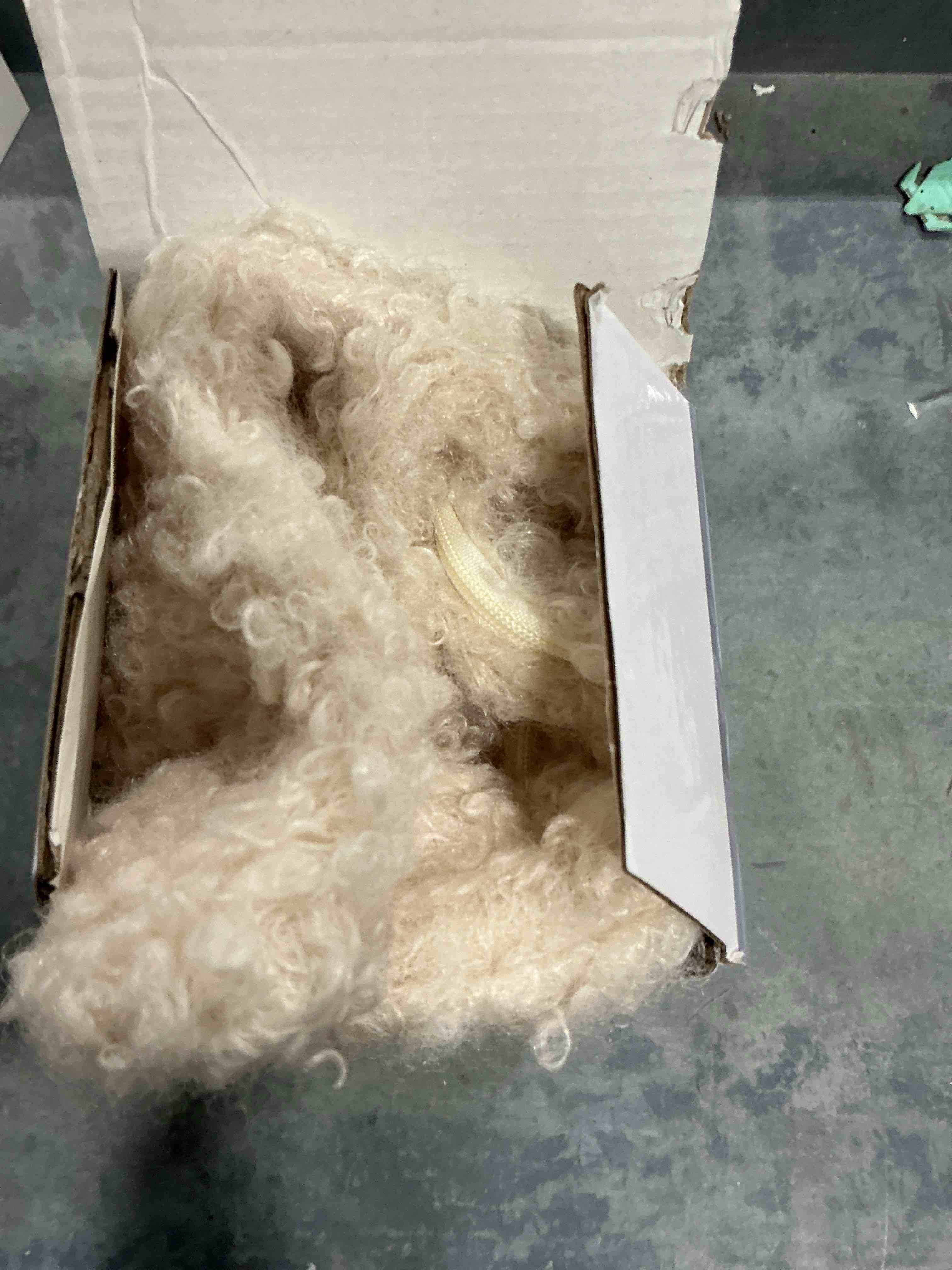 Condition photo showing Good Condition for Pack of 2 Curly Teddy Wool Faux Fur Throw Pillow Covers Fuzzy Accent Soft Sherpa Pillowcases Sheepskin Fleece Decorative Cushion Case for Sofa Couch Living Room 22x22 Inch Neutral Light Beige Neutral Light Beige 22" x 22" (Pack of 2)