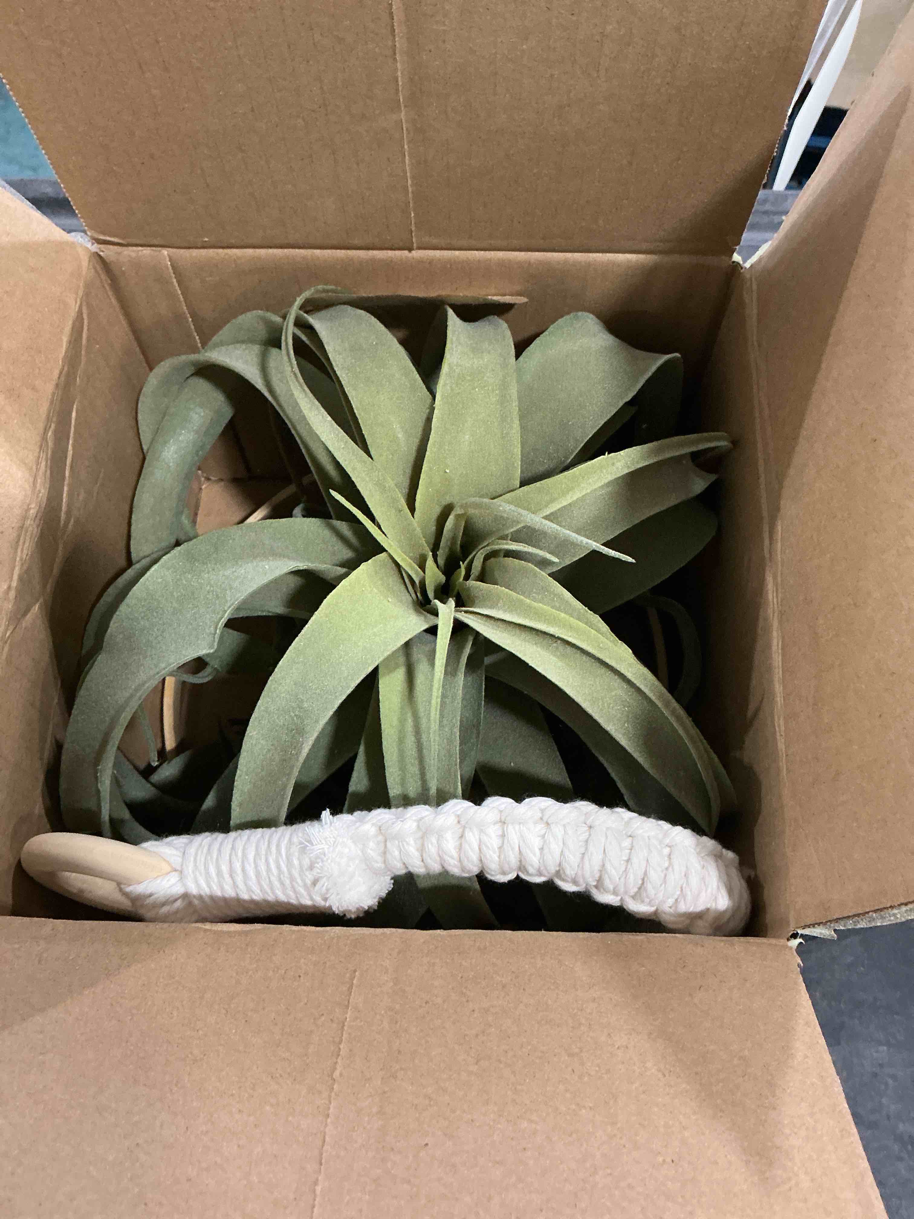 Condition photo showing Good Condition for Artificial Air Plants 11 Inch Fake Hanging Plant Real Touch Lifelike Fake Succulents Plants for Home Garden Office Indoor Outdoor Decor Green