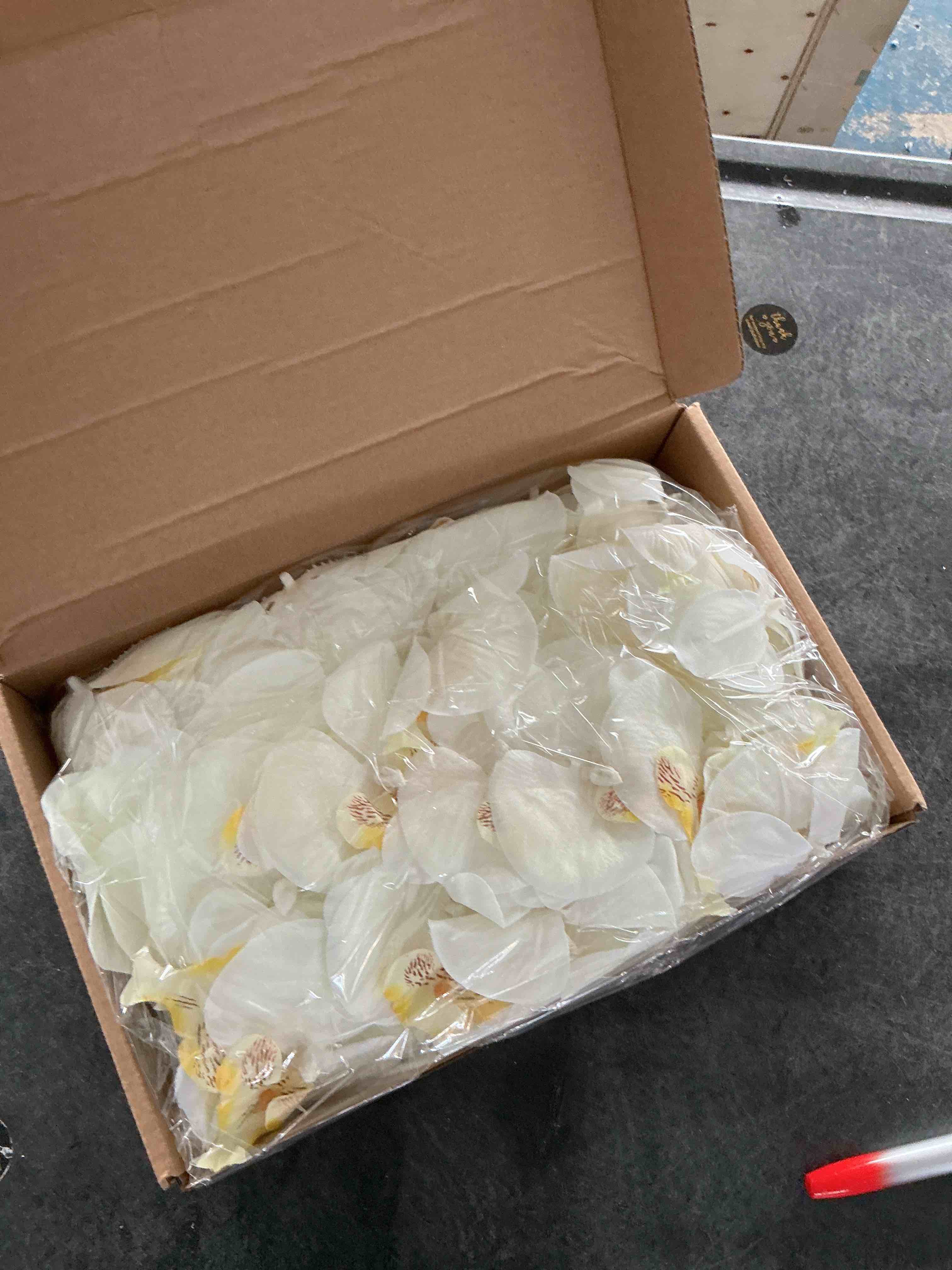 Condition photo showing New/Like New for Janinka 80 Pcs Orchids Artificial Flowers Silk Phalaenopsis Flower Heads Fake Orchids Flowers for Cocktails Drink False Butterfly Orchid Head for Wedding Floral Bouquet DIY Craft Bridal Decor(White)