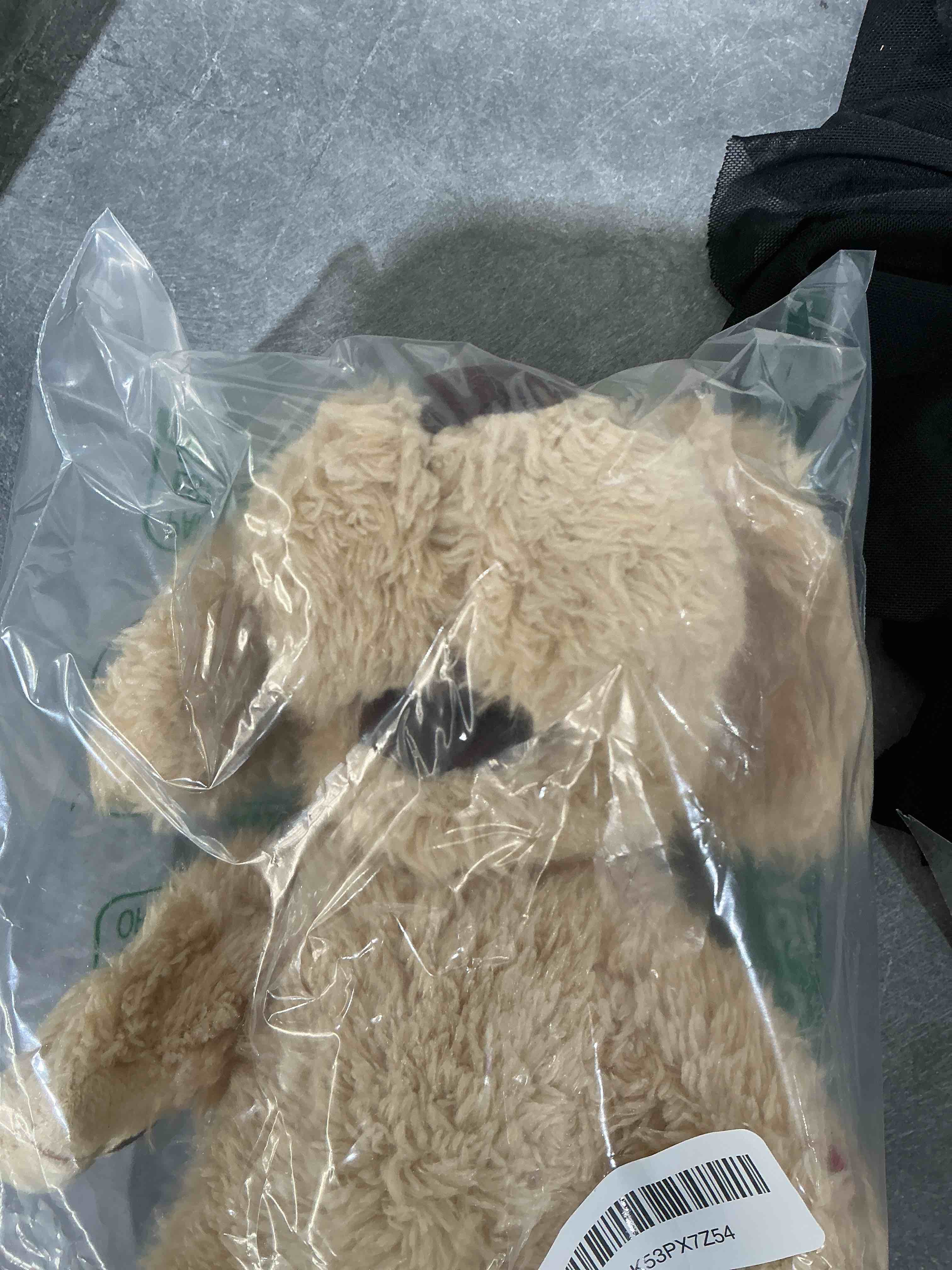 Condition photo showing Good Condition for Official Talking Tom and Friends - Talking Ben 10 Inch Mini Cute Plush with Interactive Talkback Repeating Voice & Sounds, Stuffed Animal Plush Toy for Kids