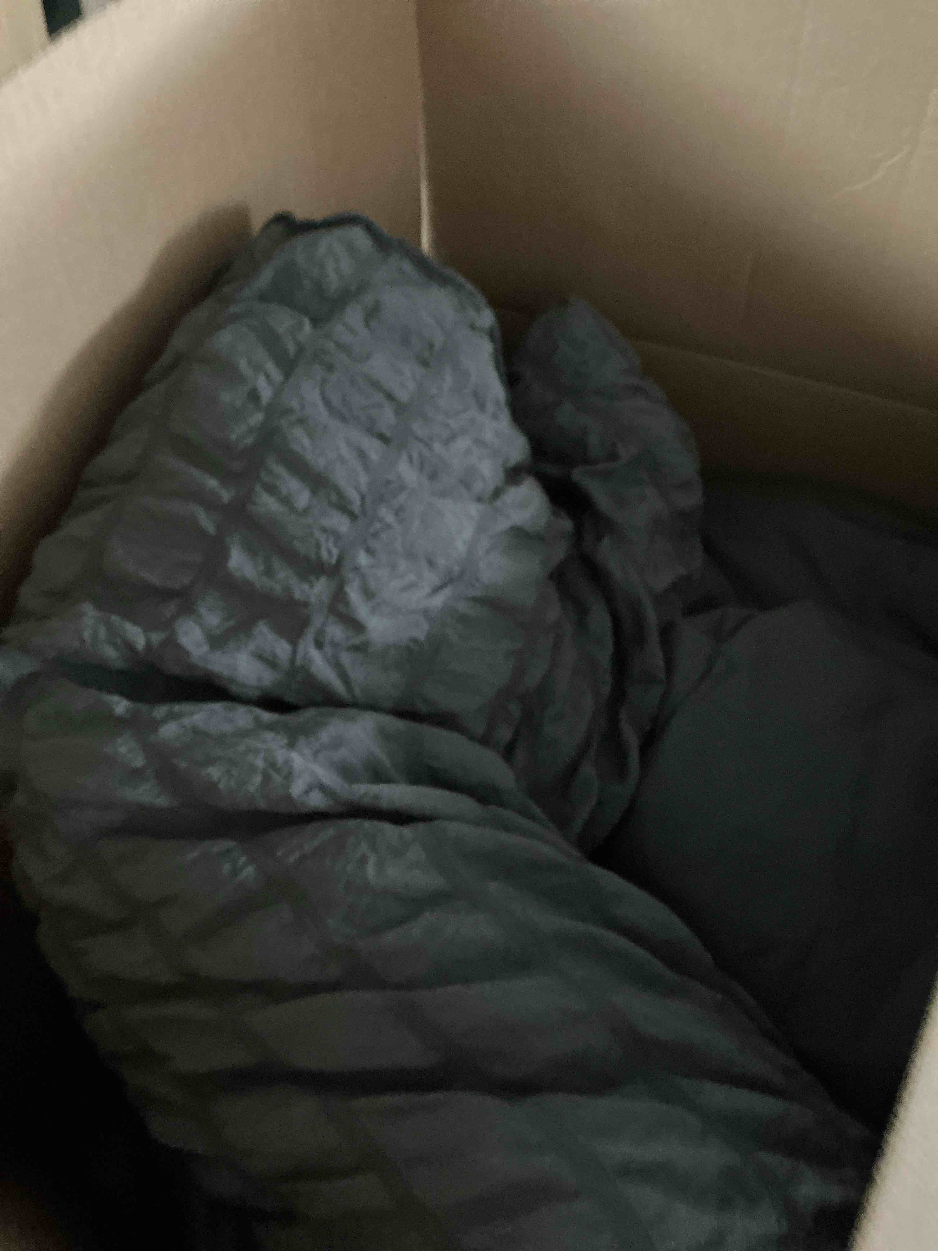 https://s3.amazonaws.com/lotting-images-prod/NonstopDeals/BRN7014088_1789587838772.jpeg