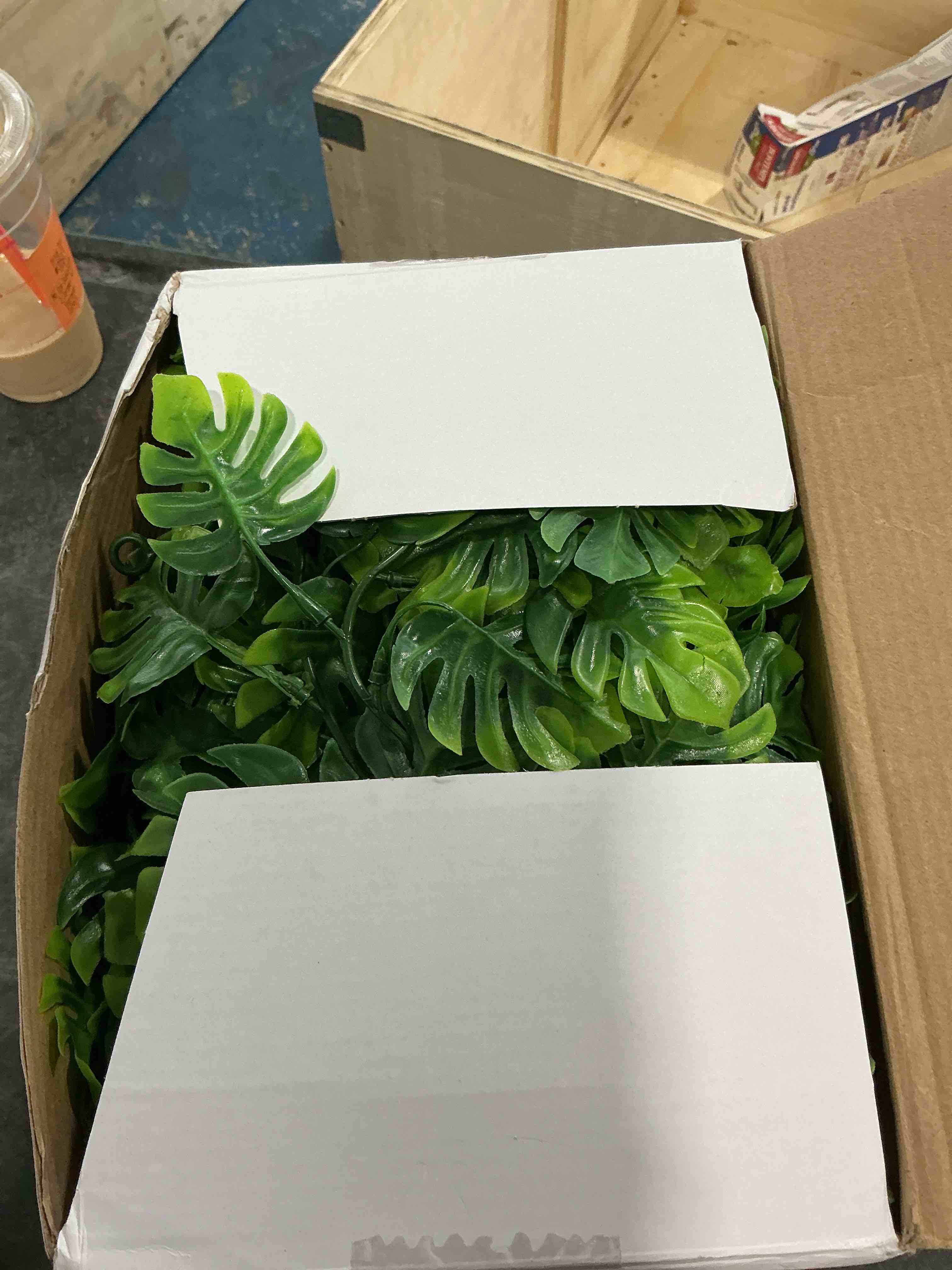 https://s3.amazonaws.com/lotting-images-prod/NonstopDeals/GRA3505345_1760114924121.jpeg