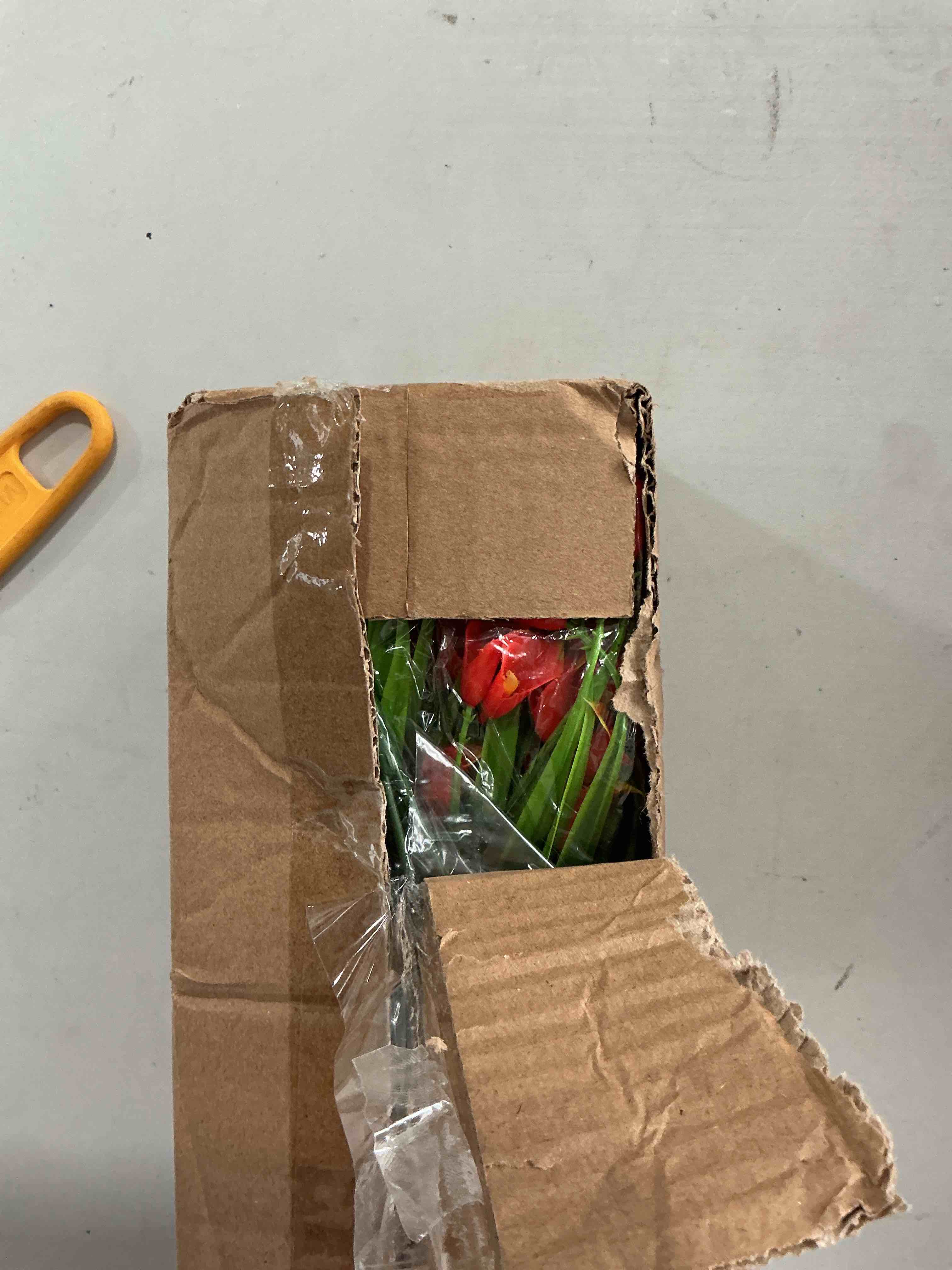 https://s3.amazonaws.com/lotting-images-prod/NonstopDeals/GRA3506125_1760623422511.jpeg