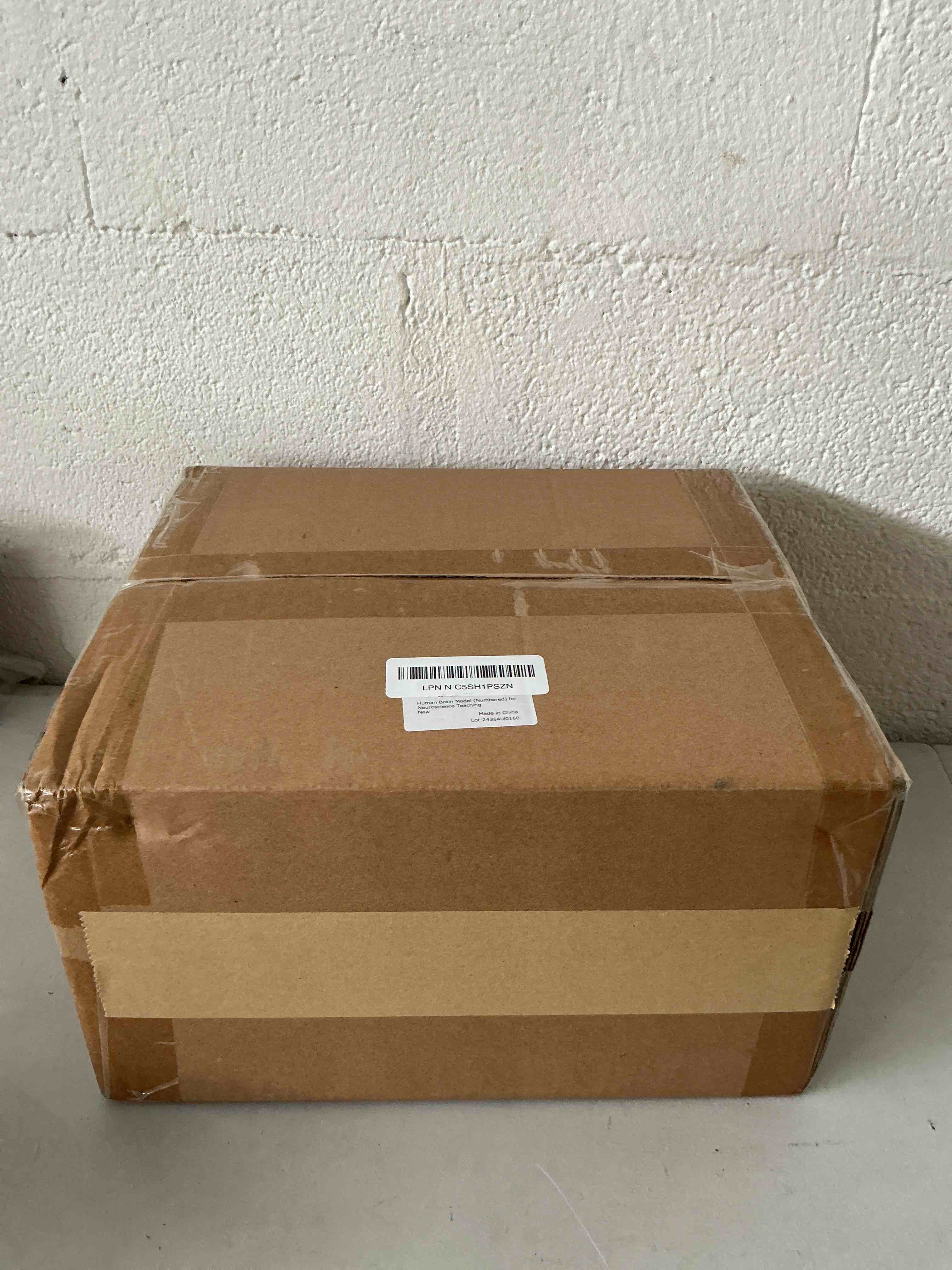 https://s3.amazonaws.com/lotting-images-prod/NonstopDeals/GRA3613197_1753546876471.jpeg