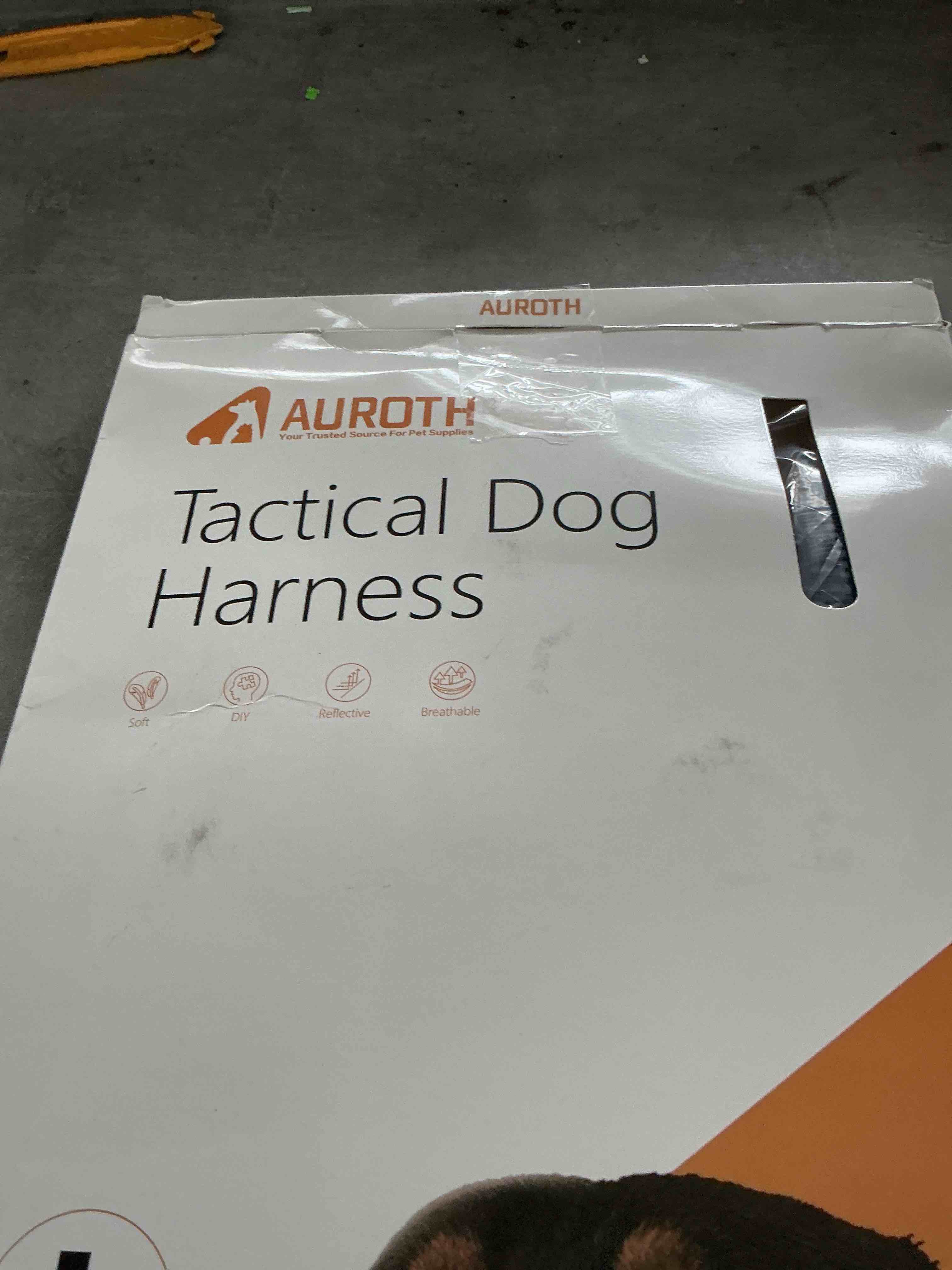 https://s3.amazonaws.com/lotting-images-prod/NonstopDeals/GRA3613492_1754068969976.jpeg