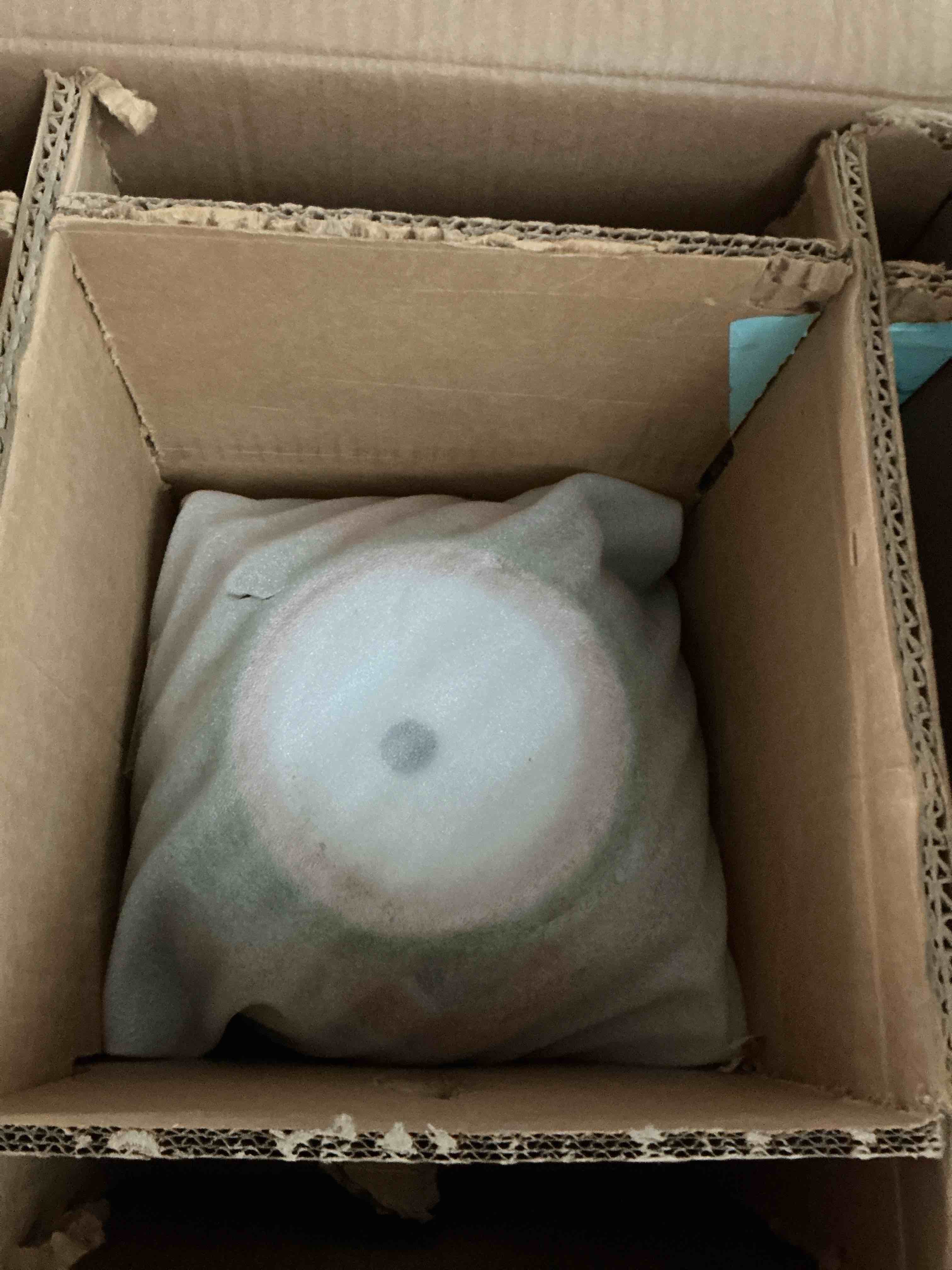 https://s3.amazonaws.com/lotting-images-prod/NonstopDeals/GRA3614185_1755090438948.jpeg