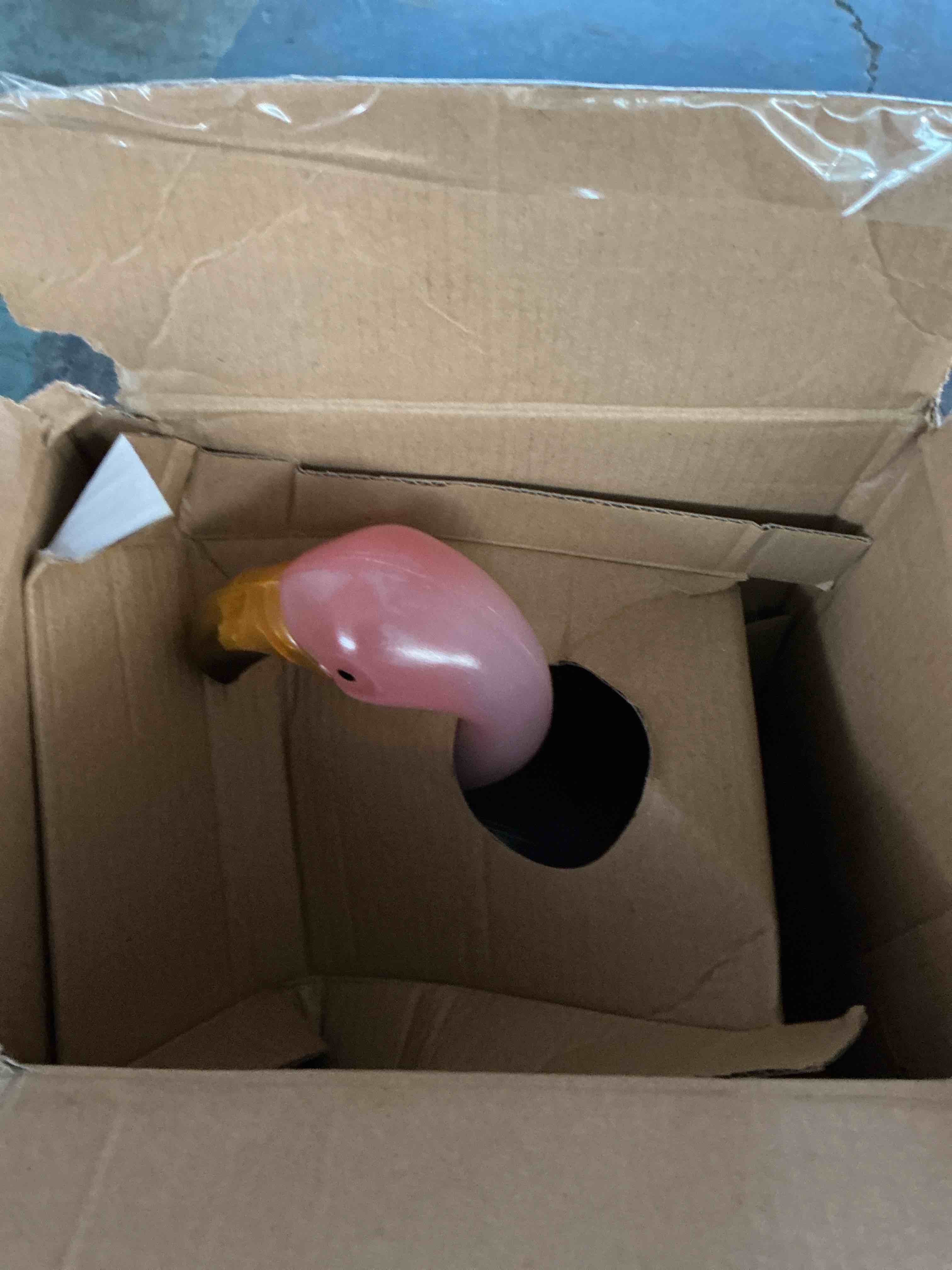 https://s3.amazonaws.com/lotting-images-prod/NonstopDeals/GRA3615529_1755902938091.jpeg