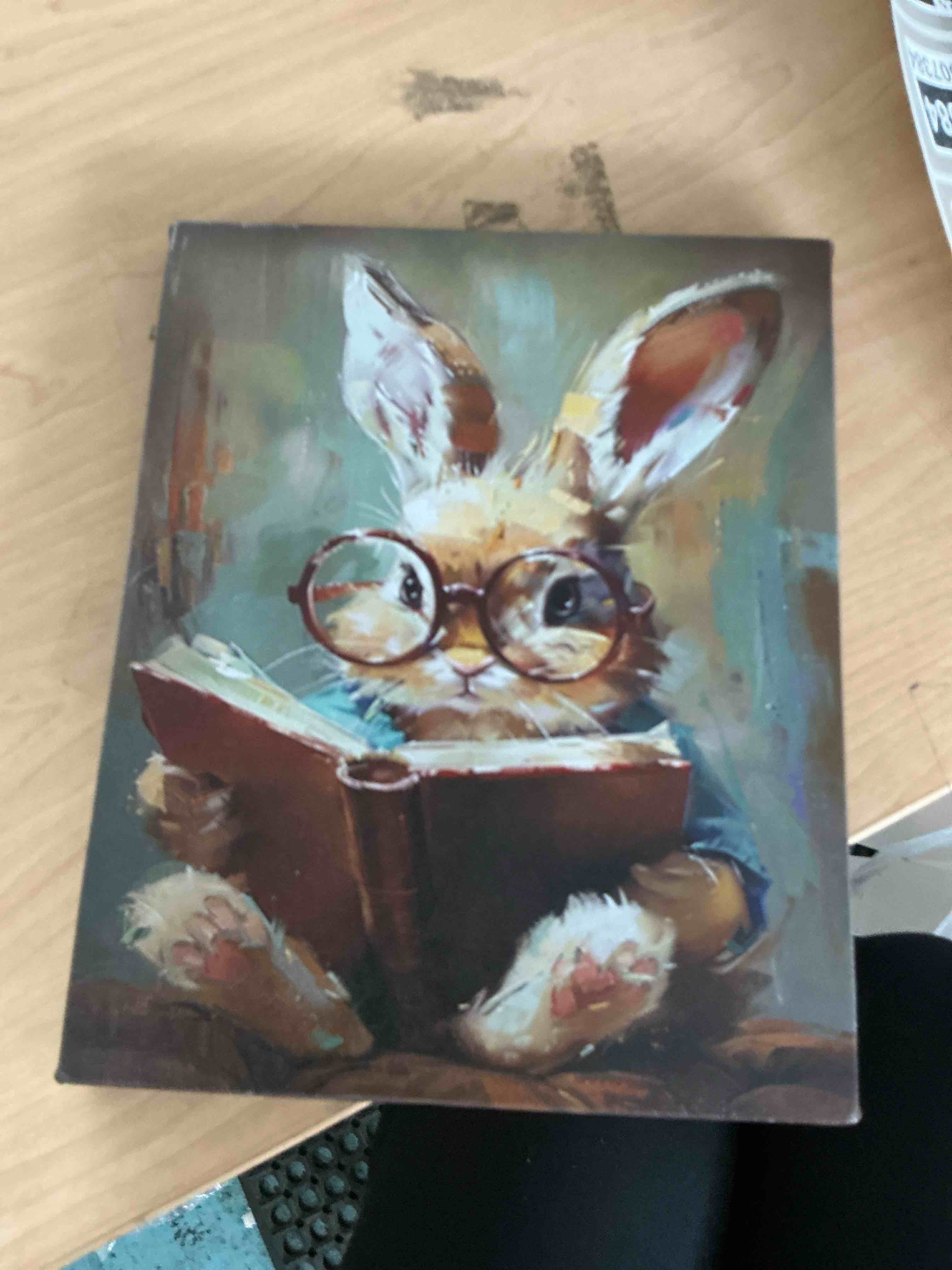 Condition photo showing New/Like New for bunny reading book wall art decoration framed, cute rabbit bookish nursery canvas wall decor gift for book lover, easter art prints for reading room classroom library