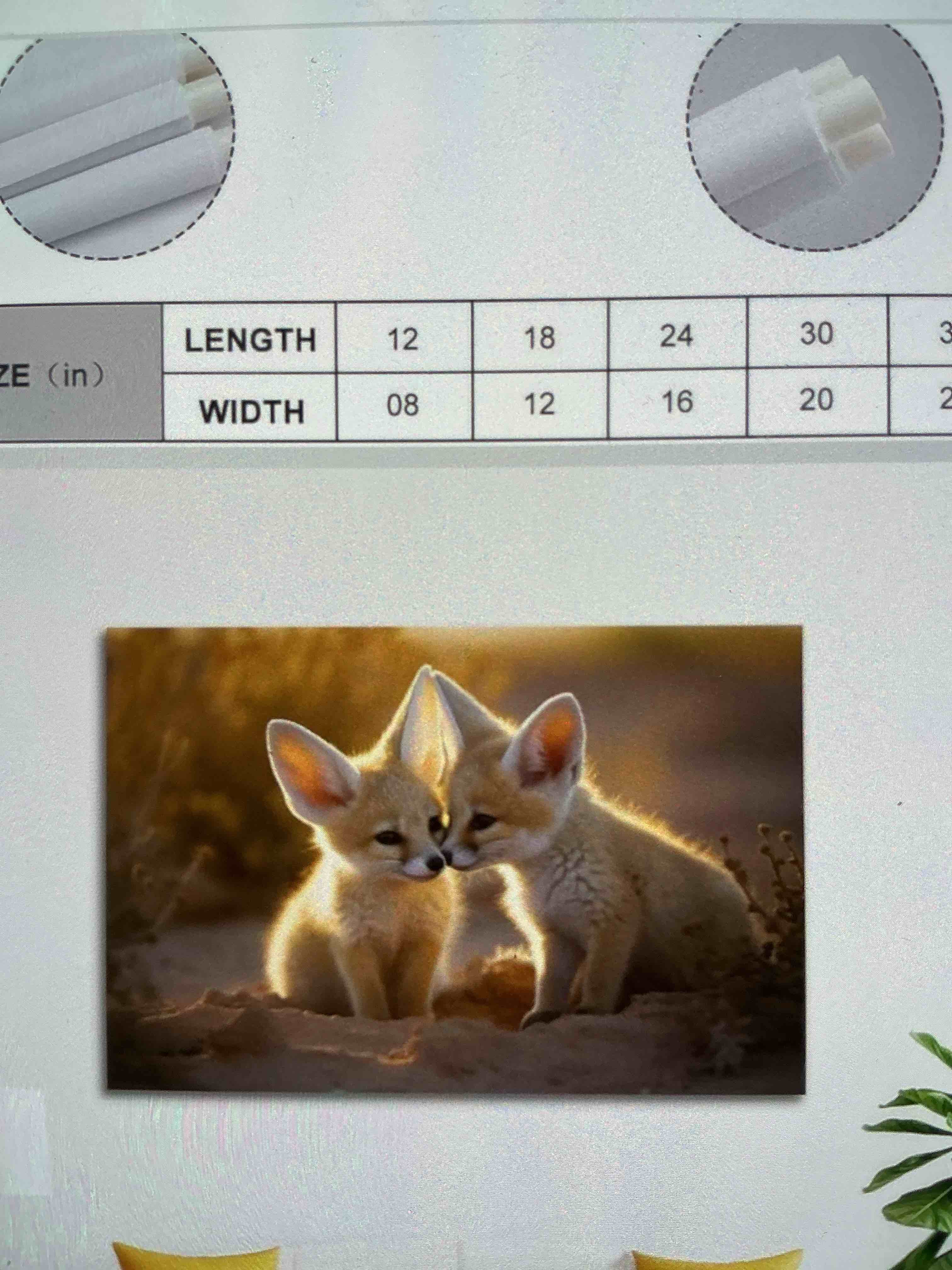 Condition photo showing New/Like New for golden hour fennec fox club, affectionate embrace, desert, sunset, canvas, printing, print, wall, art, modern living room, kitchen, poster bedroom decor