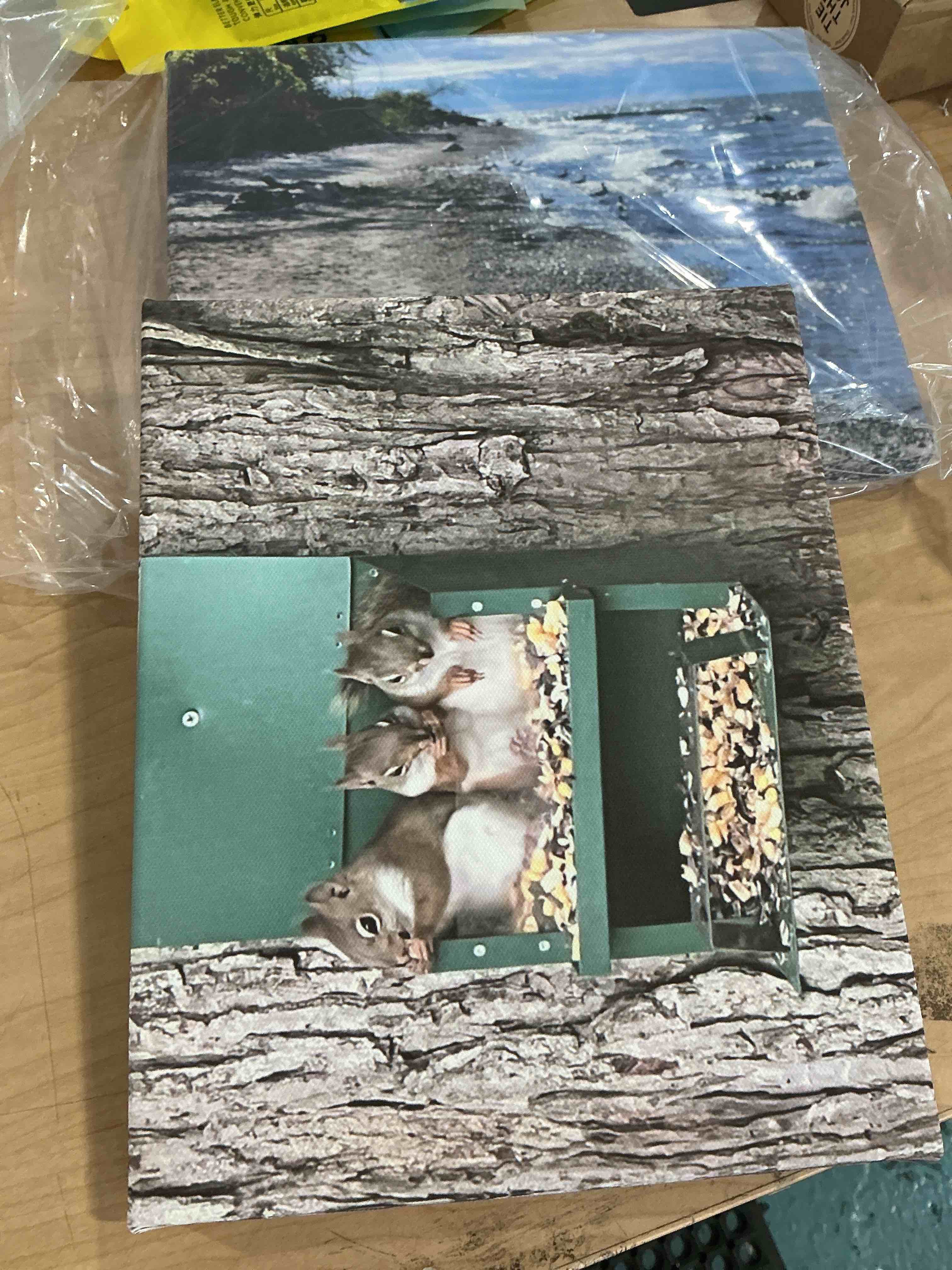 charming woodland scene with a faux tree bark background three squirrels 08x10