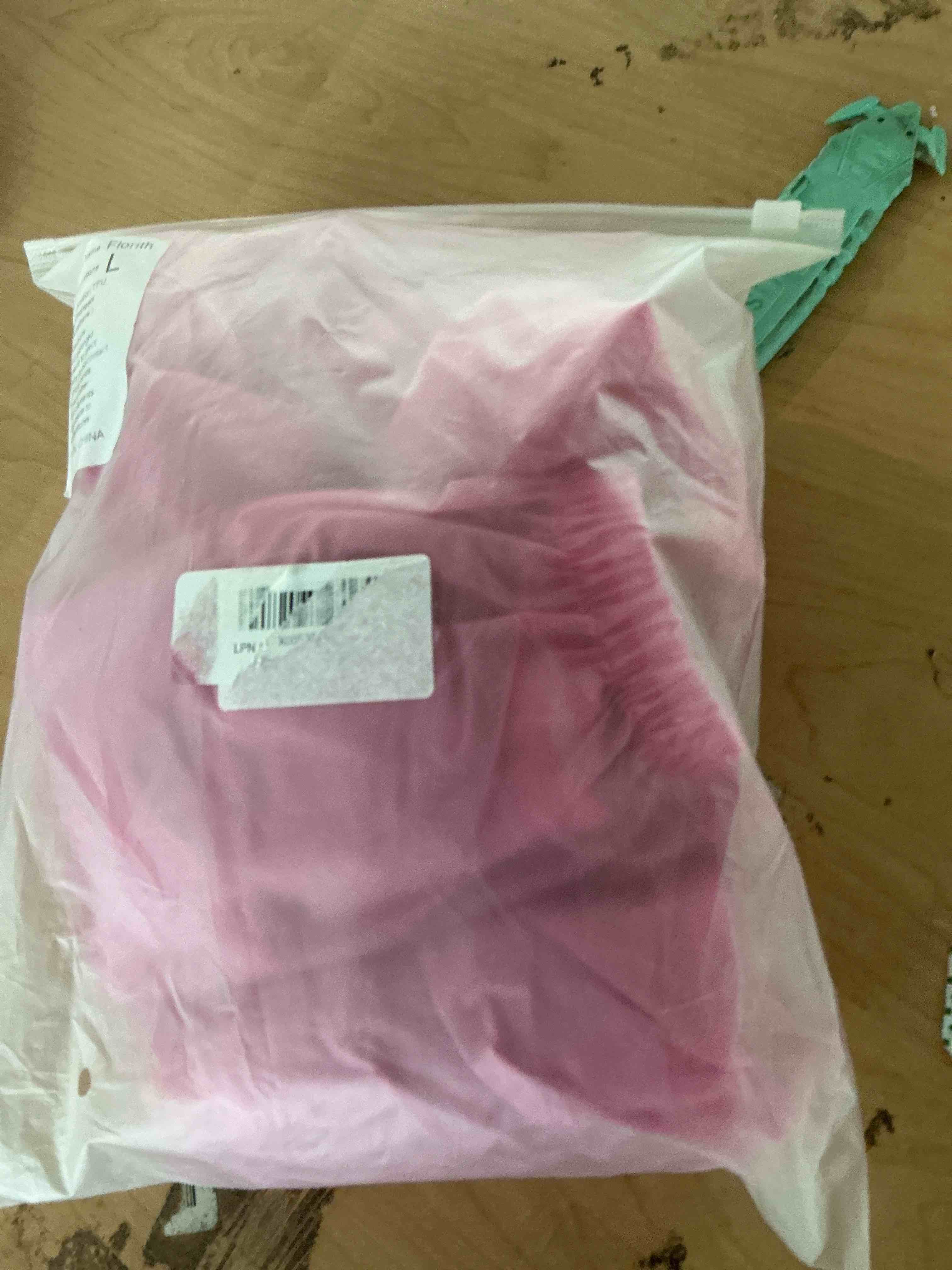 Condition photo showing Good Condition for dog babaloo reusable diaper, swim briefs, pink, l2