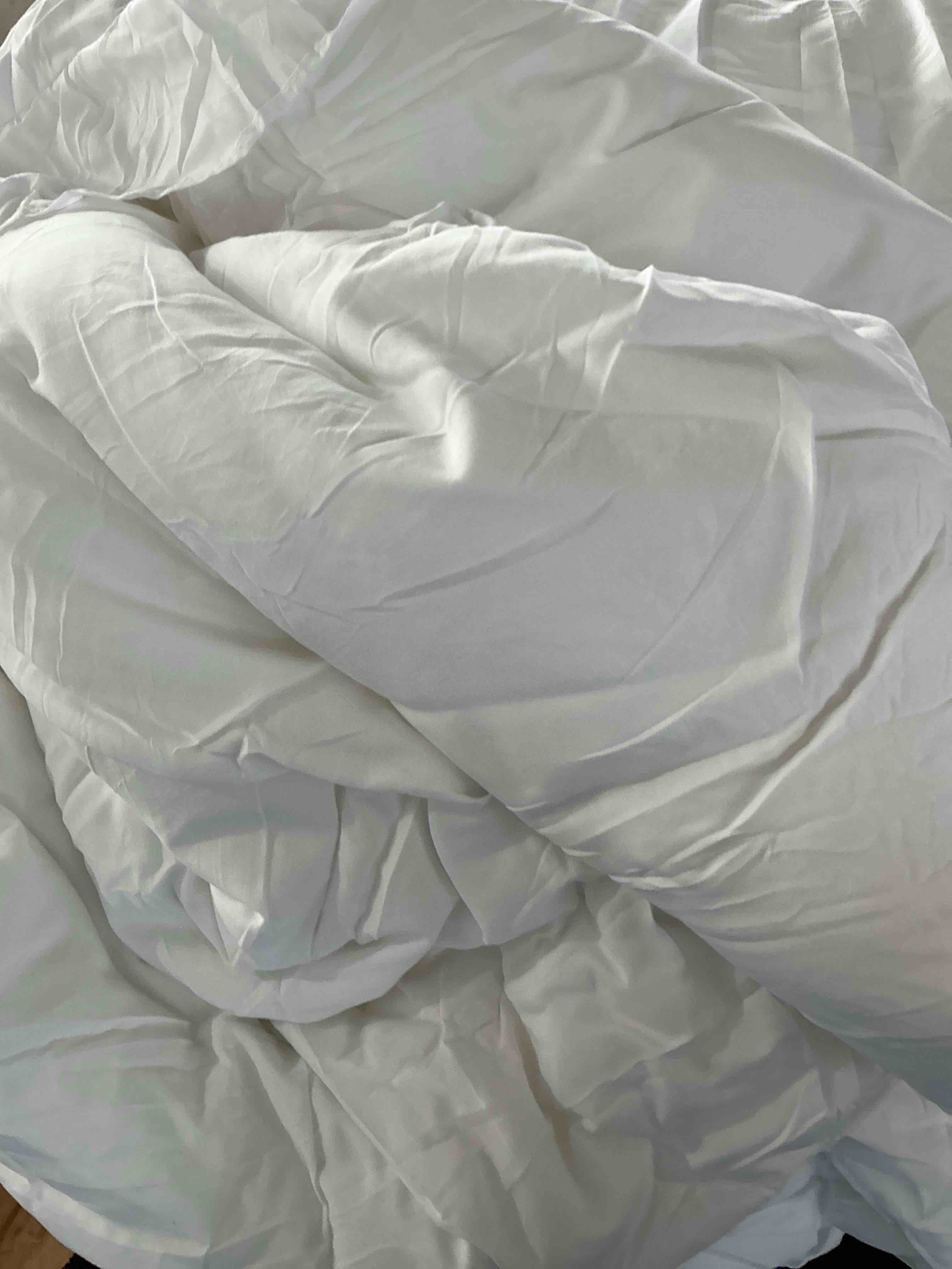 Condition photo showing New/Like New for janzaa full size comforter ruffled oatmeal soft vintage farmhouse bed comforter set shabby fluffy 3pcs bedding (1 comforter set and 2 pillowcases)