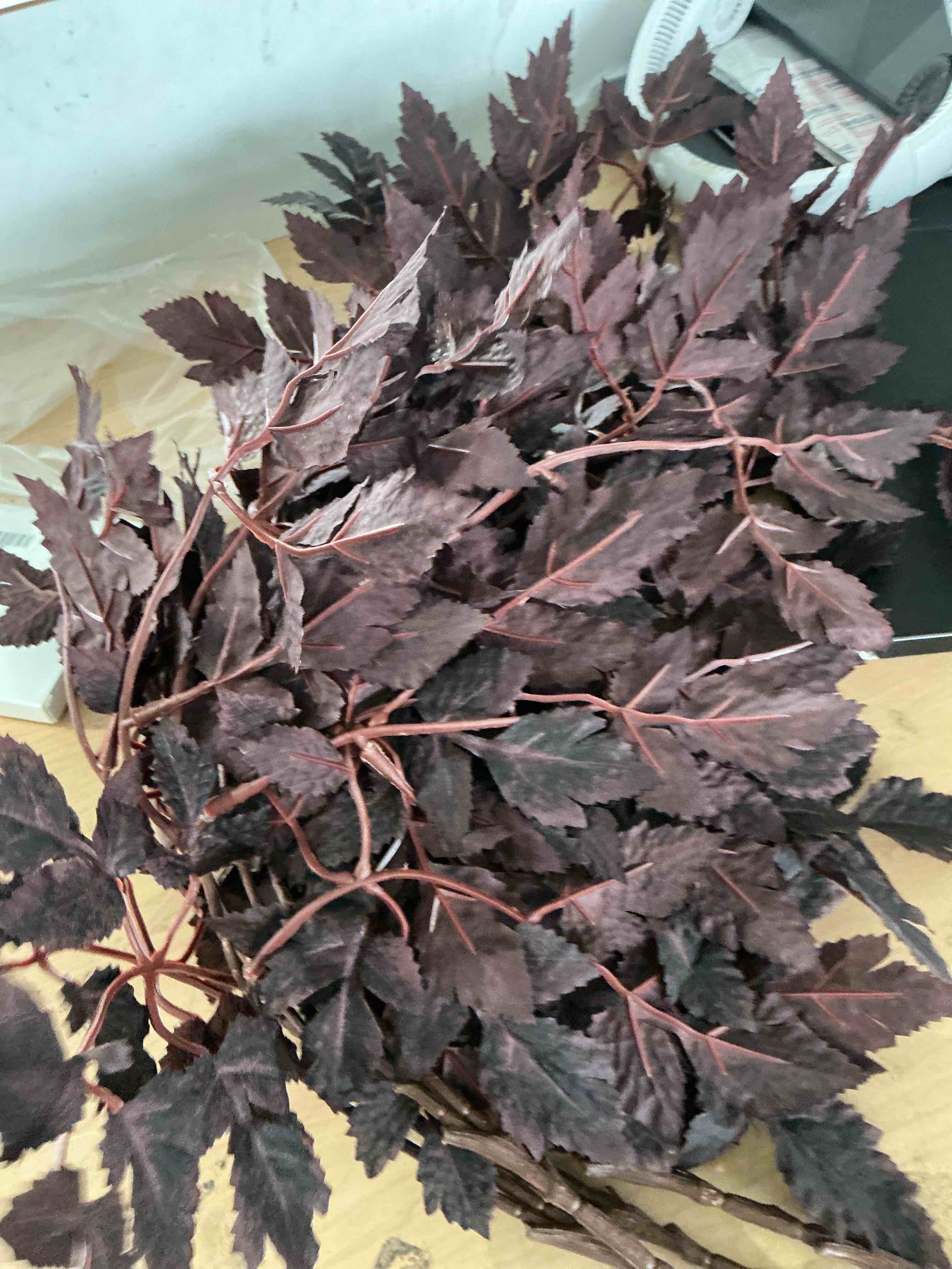 Condition photo showing New/Like New for 4 pack artificial cimicifuga leaf spray for vase and table decor, 23.6in