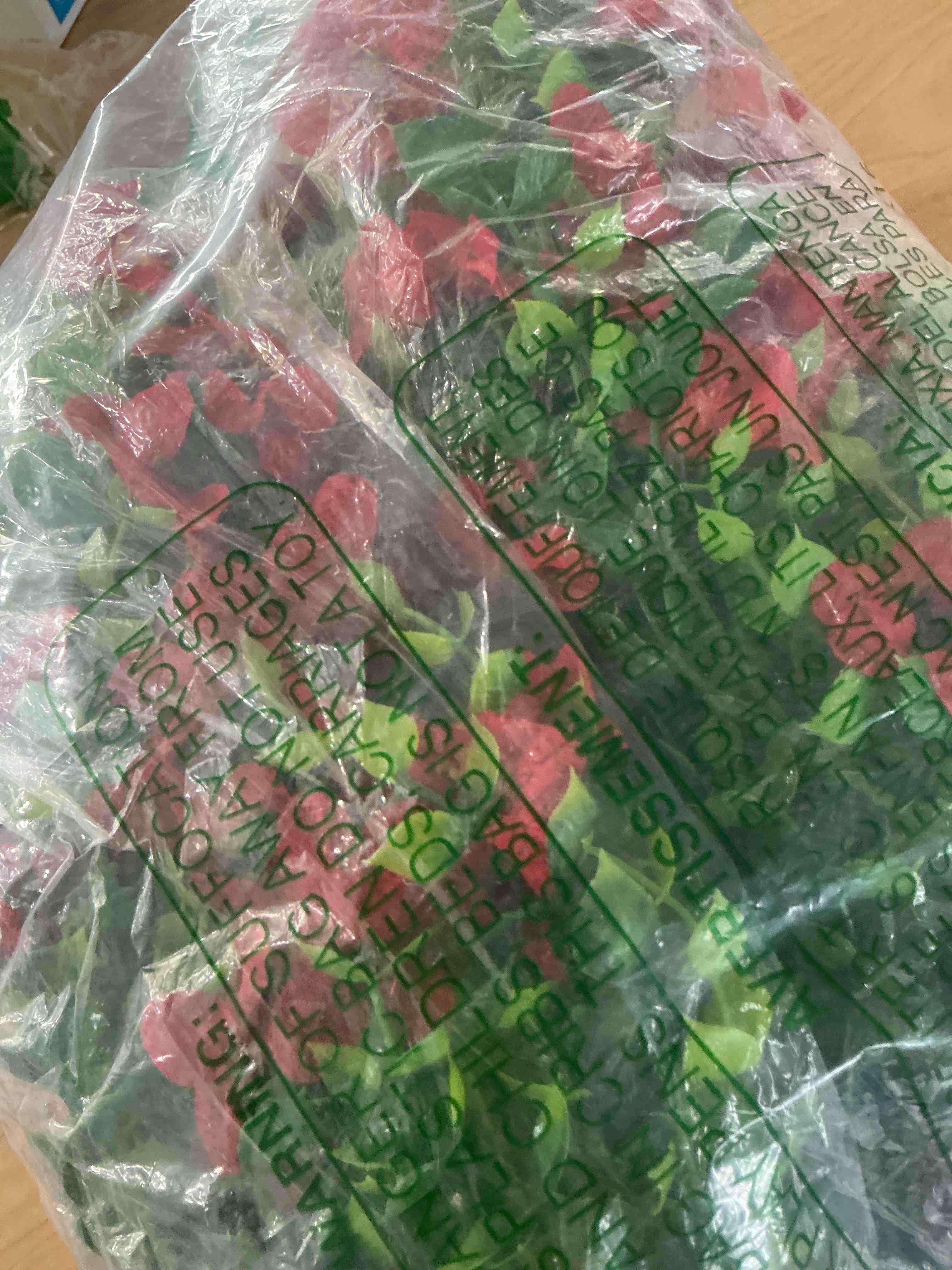 Condition photo showing New/Like New for recutms 2pc artificial hanging eucalyptus with red flowers for outdoor