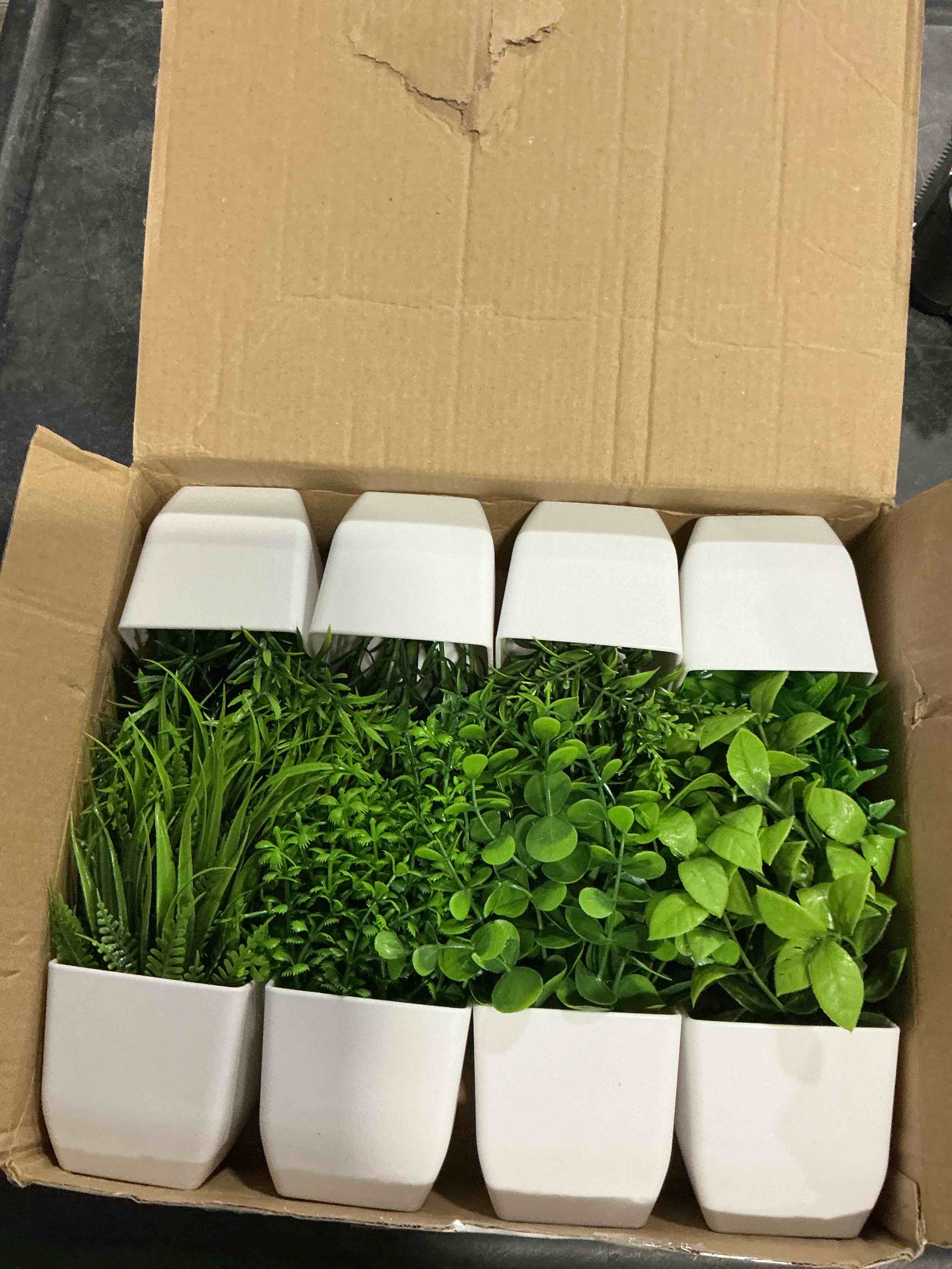 https://s3.amazonaws.com/lotting-images-prod/NonstopDeals/PNK3238245_1758162998614.jpeg