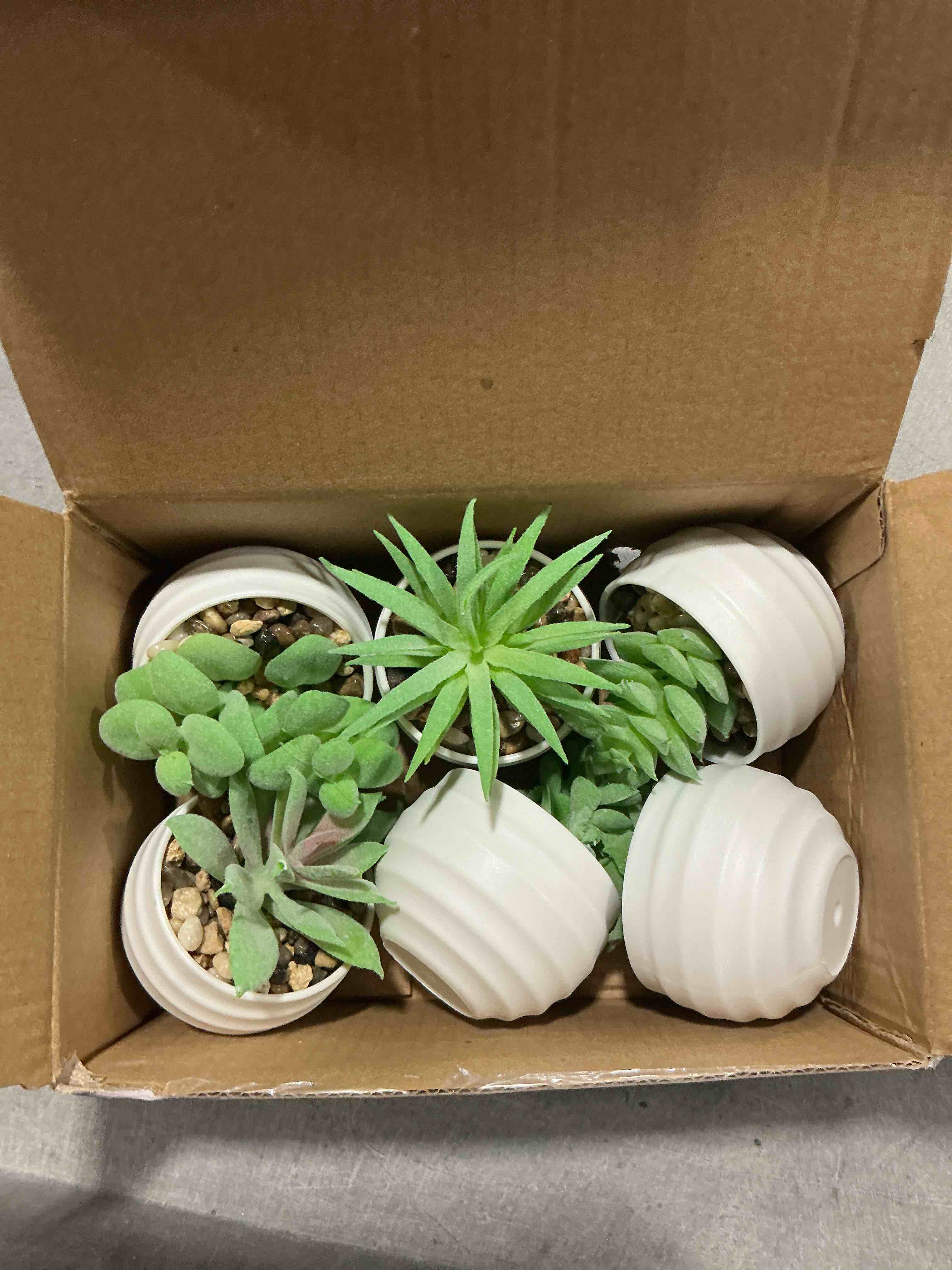 https://s3.amazonaws.com/lotting-images-prod/NonstopDeals/PNK3239810_1759105485990.jpeg
