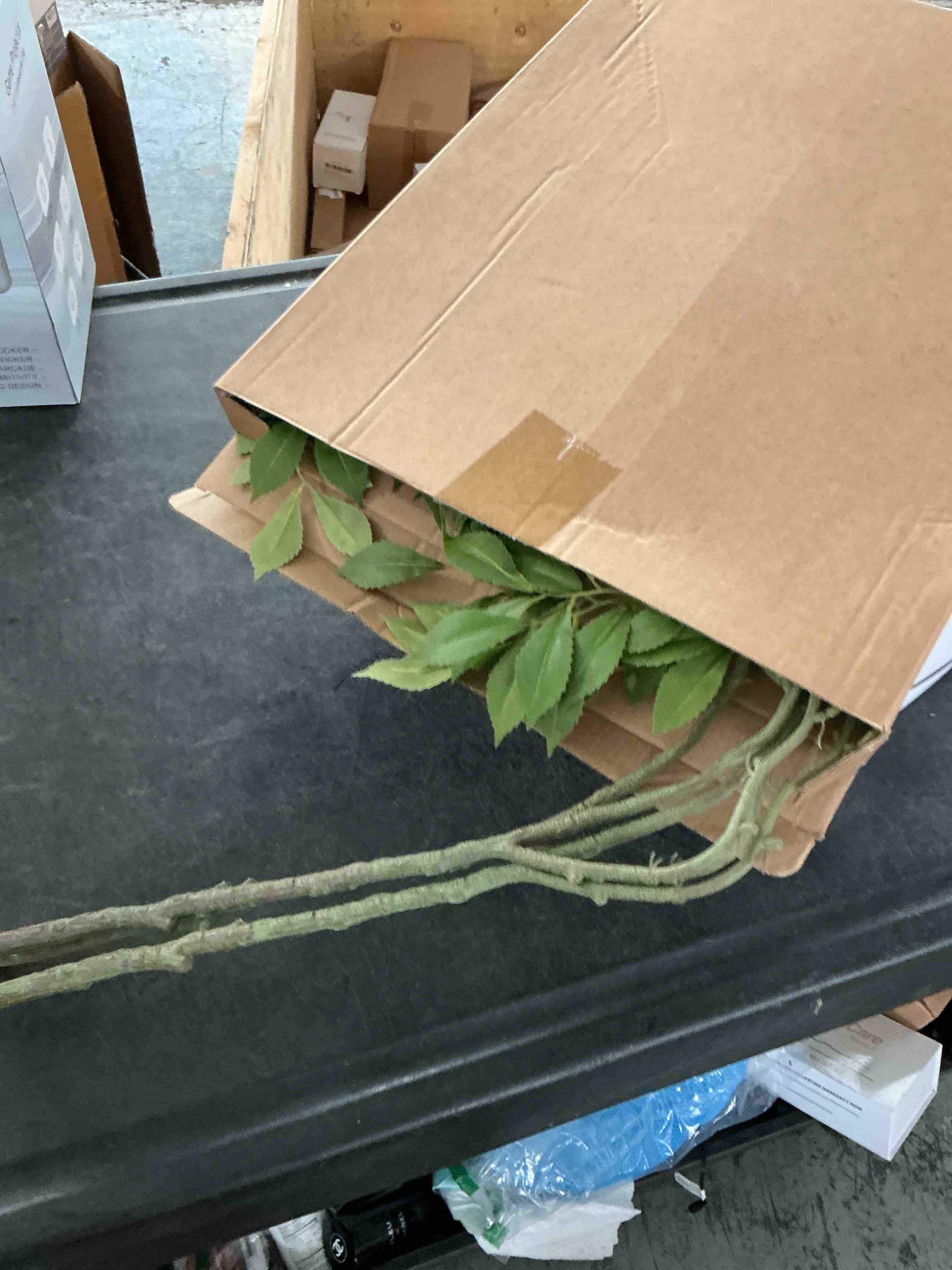 https://s3.amazonaws.com/lotting-images-prod/NonstopDeals/PNK3240121_1759338813086.jpeg