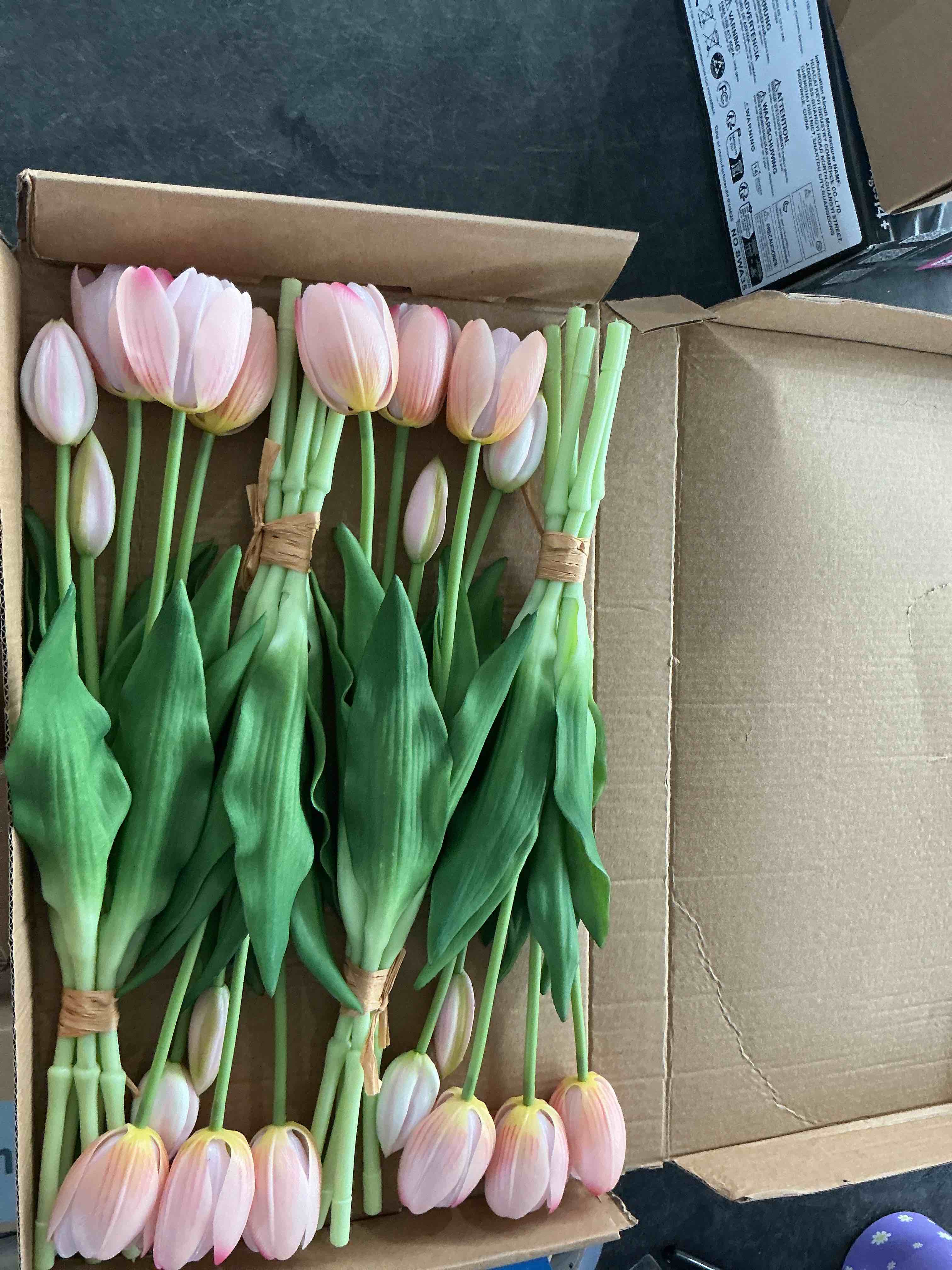 https://s3.amazonaws.com/lotting-images-prod/NonstopDeals/PNK3240140_1759340940100.jpeg