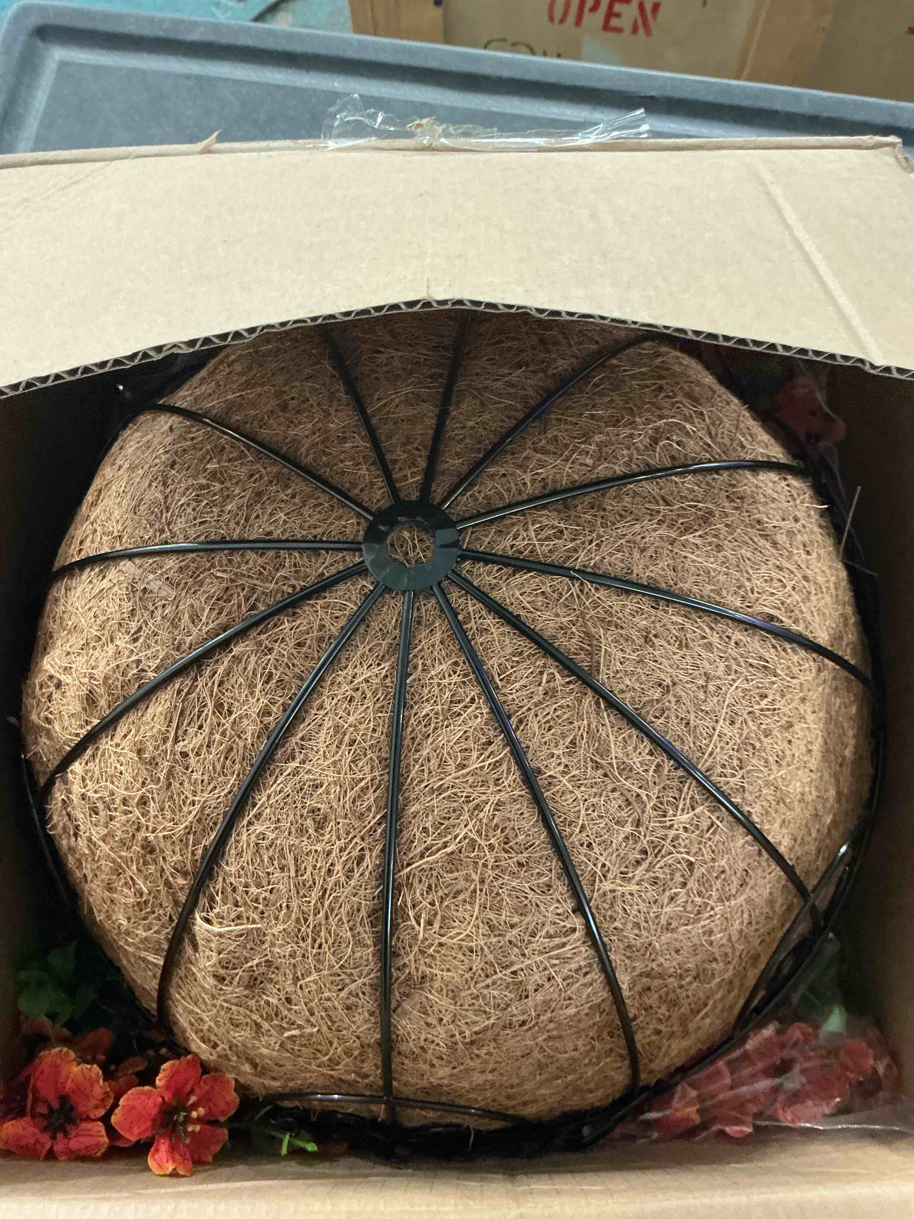 https://s3.amazonaws.com/lotting-images-prod/NonstopDeals/PNK3240197_1759355398185.jpeg