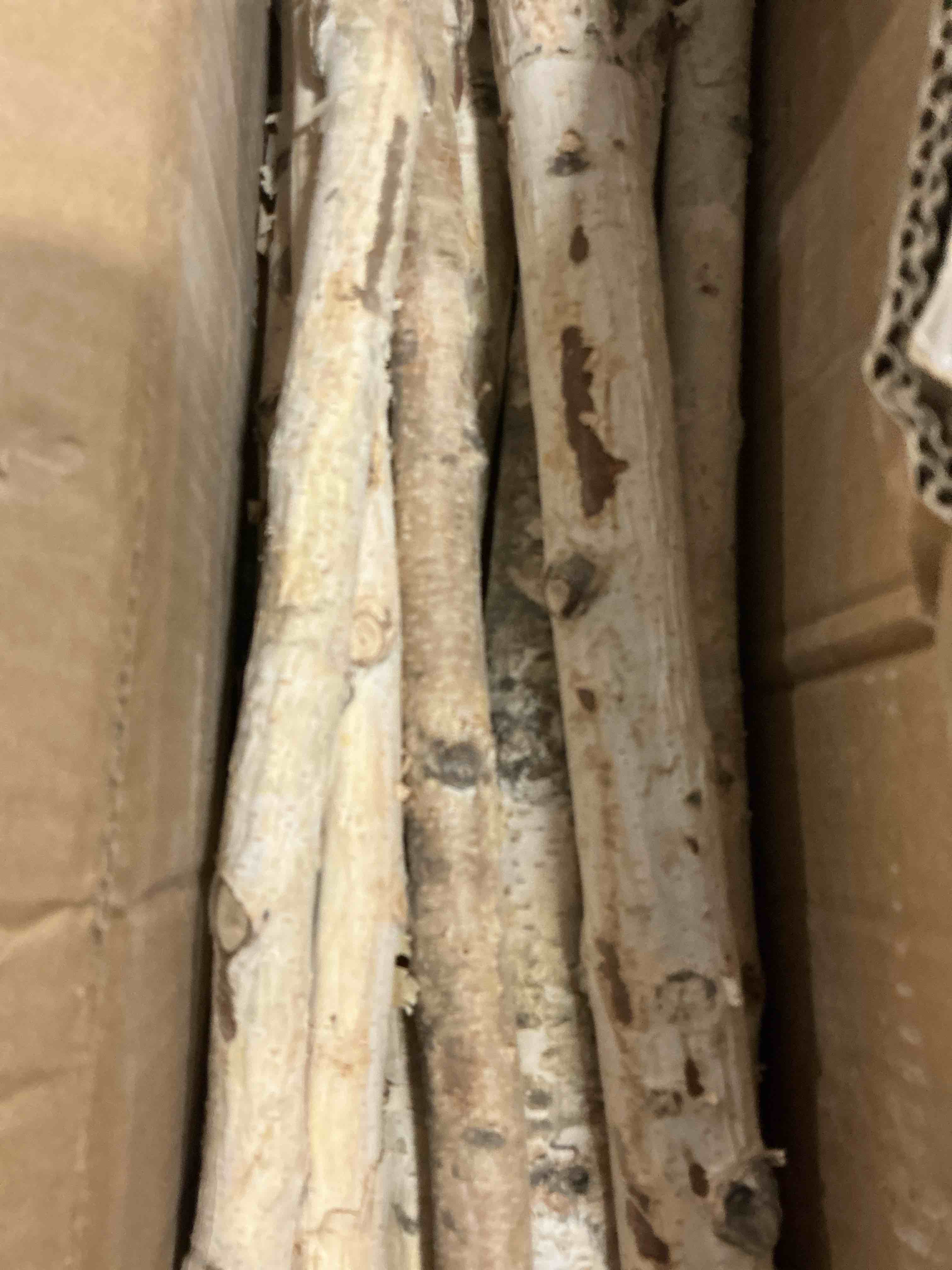 Condition photo showing Good Condition for 12-Pack White Birch Logs for Fireplace - Natural Decorative Birch Branches for Mantel, Fake Fireplace, Indoor Decor, DIY Crafts, and Planter Decoration (0.8"-1.6" Dia. x 16" Long) 12 Pcs (0.8"-1.6")