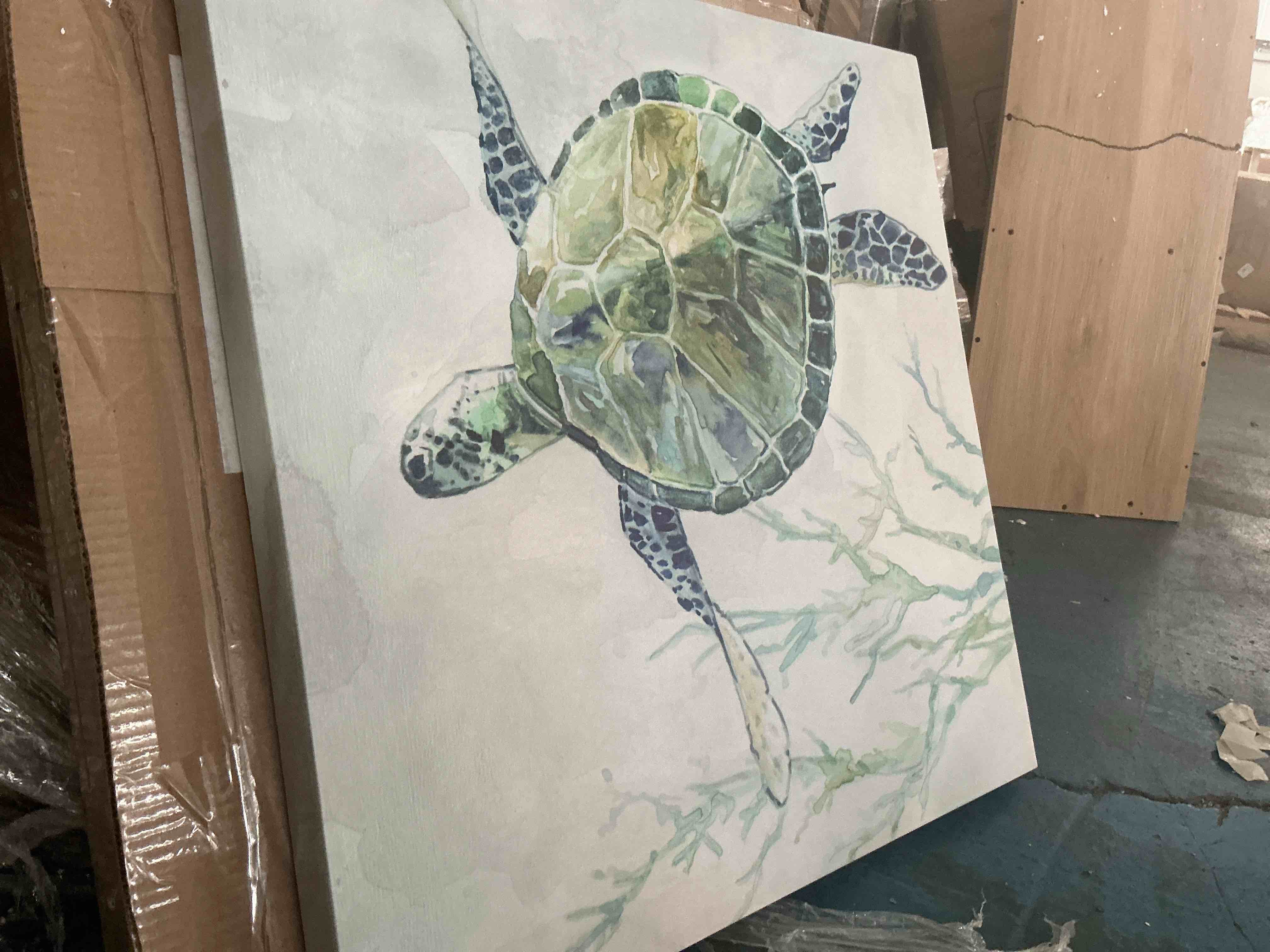 Condition photo showing New/Like New for turtle canvas wall art, green sea turtle and seaweed poster print modern sea life picture painting for bathroom nursery decor(artwork-03, 16"x16")