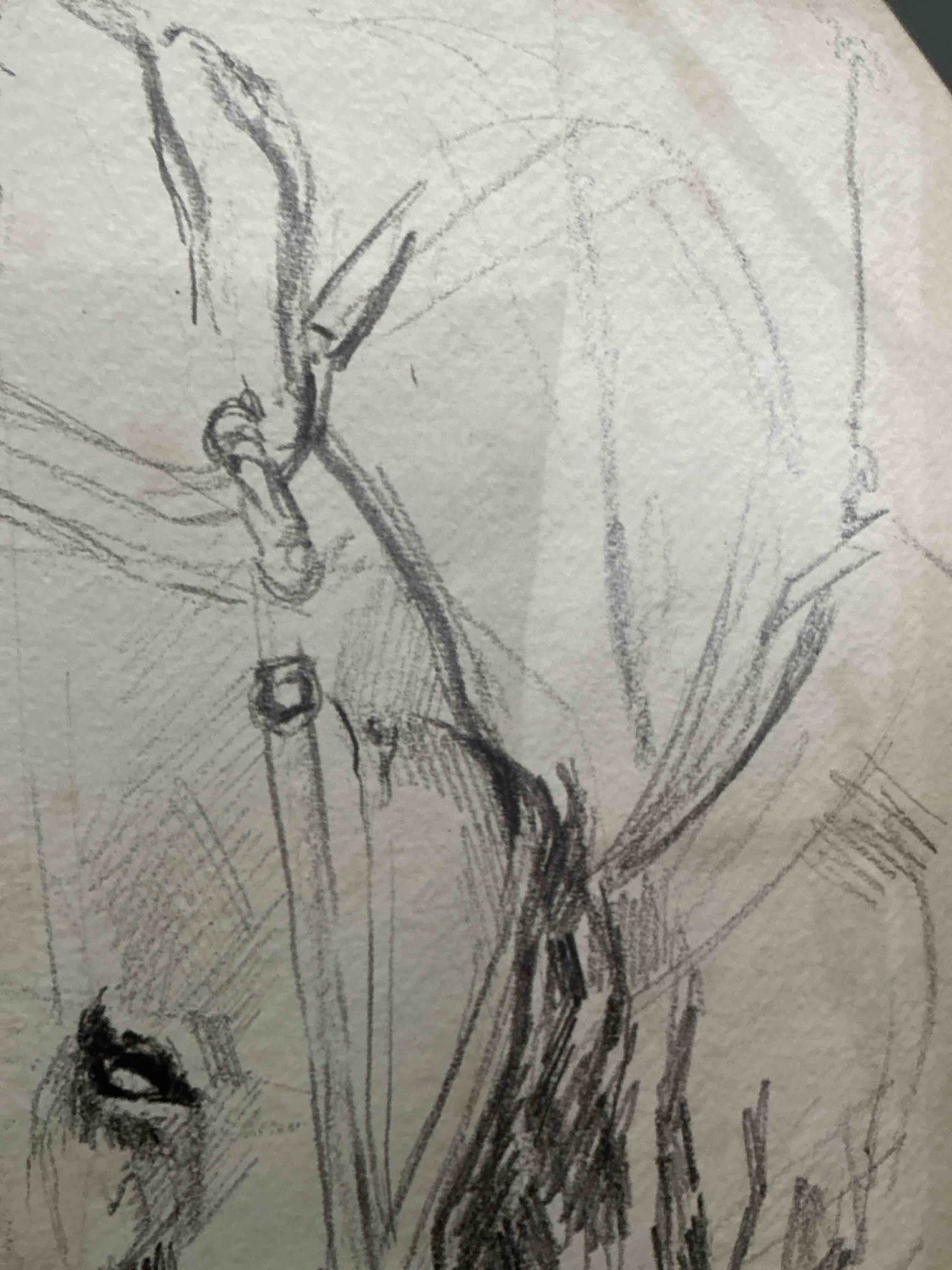 Condition photo showing New/Like New for amanti art framed canvas wall art 24x18 horse in bridle sketch i by jennifer paxton parker, framed wall art canvas, animals artwork, traditional decor, medium poster painting for living room, bedroom2 pack