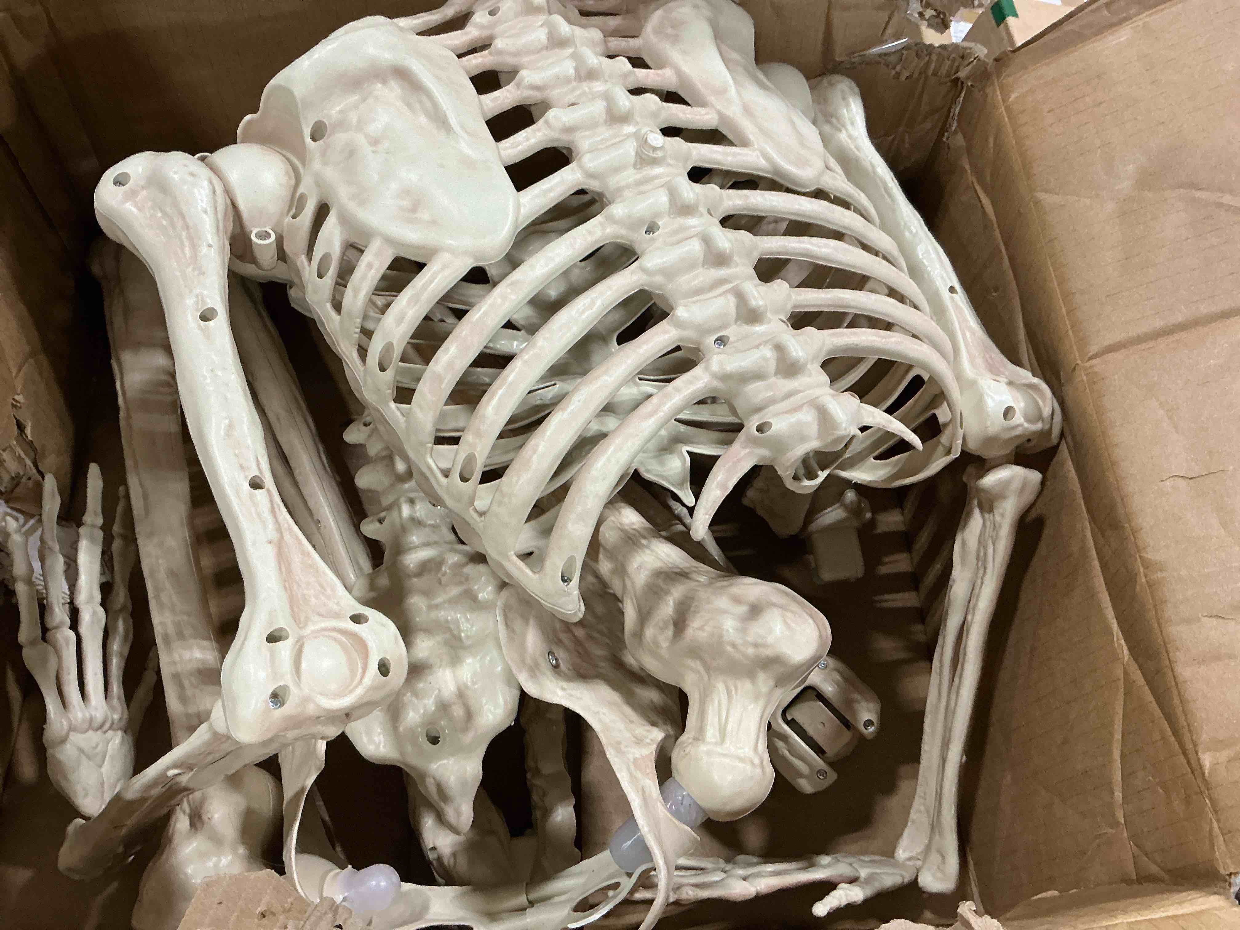 Condition photo showing Good Condition for 5.9ft/180cm giant skeleton poseable skeleton realistic full body bones for halloween decorations