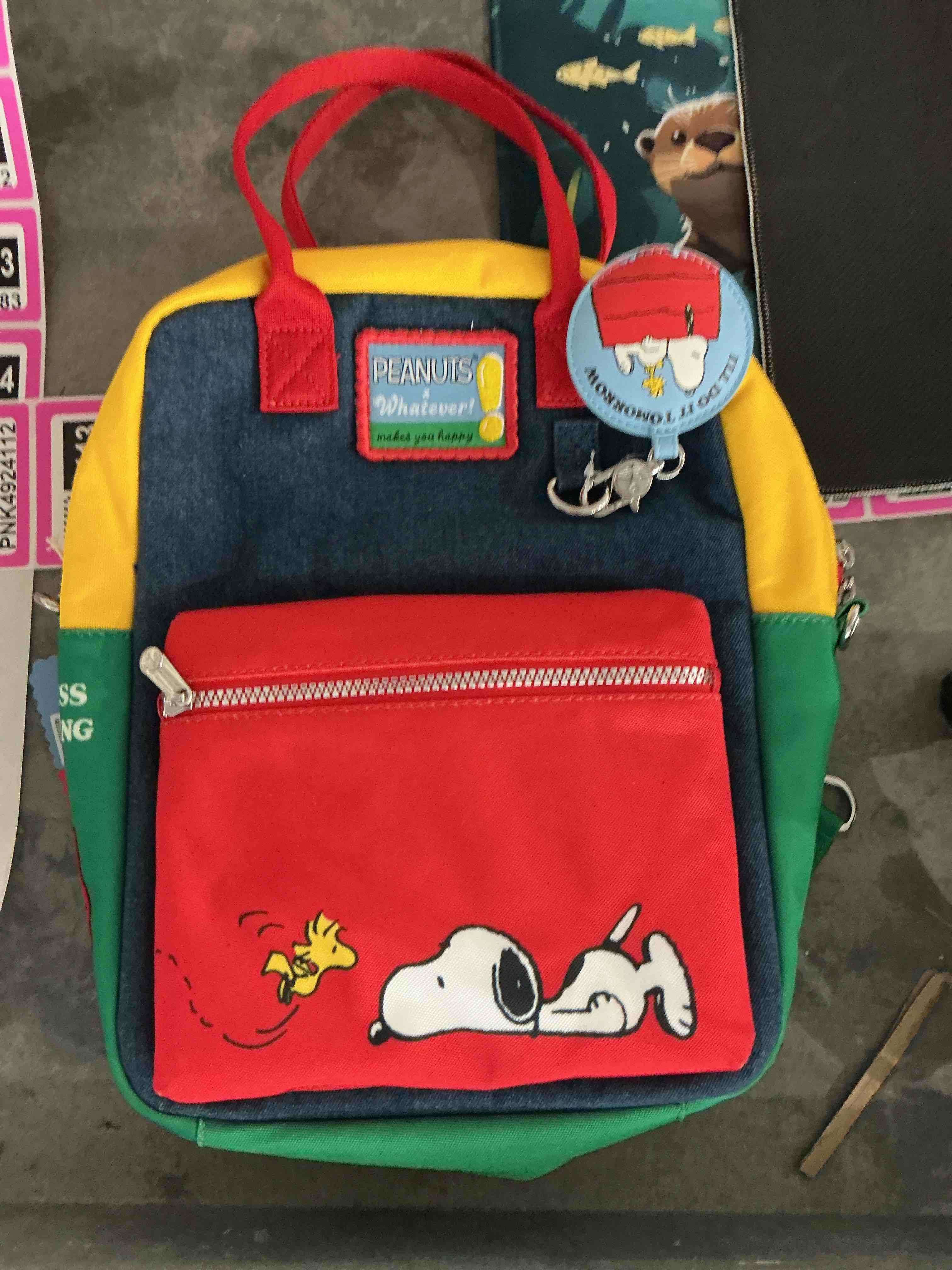 Igloo Snoopy’s House 16-Can Lunch Pail