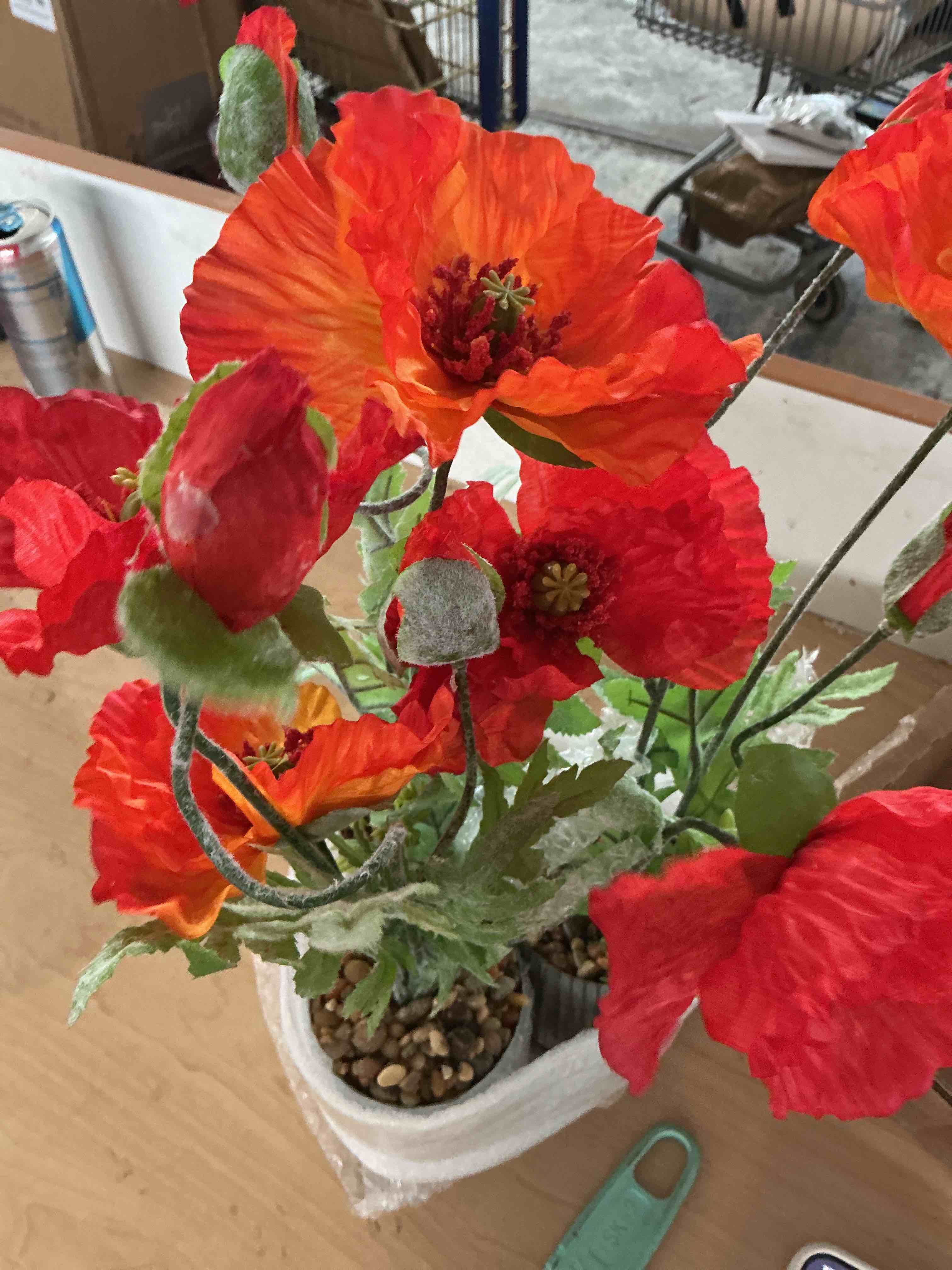 19” primrue of 3 poppies in round tin planters 