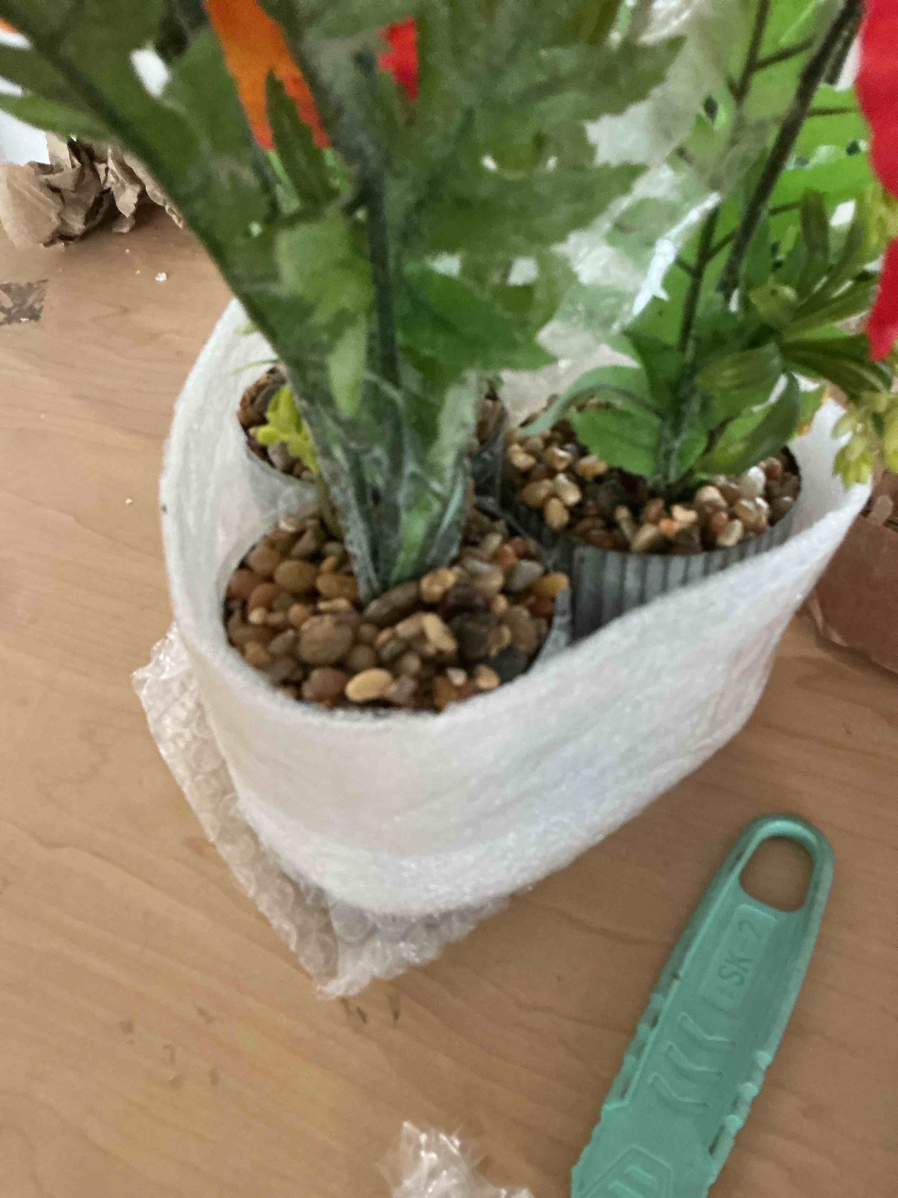 https://s3.amazonaws.com/lotting-images-prod/NonstopDeals/PNK4924136_1781634233124.jpeg