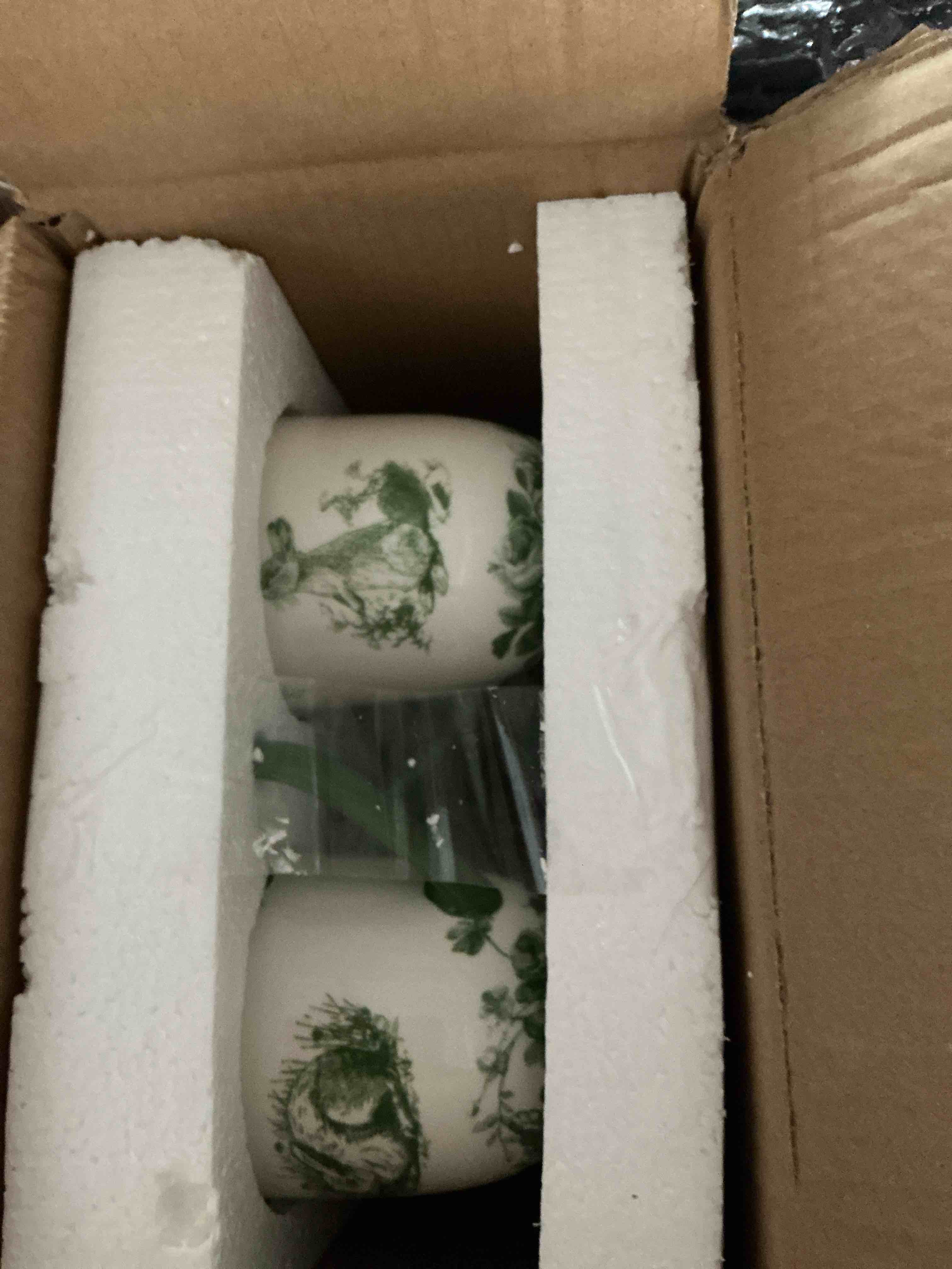 https://s3.amazonaws.com/lotting-images-prod/NonstopDeals/PNK4925299_1782149888915.jpeg
