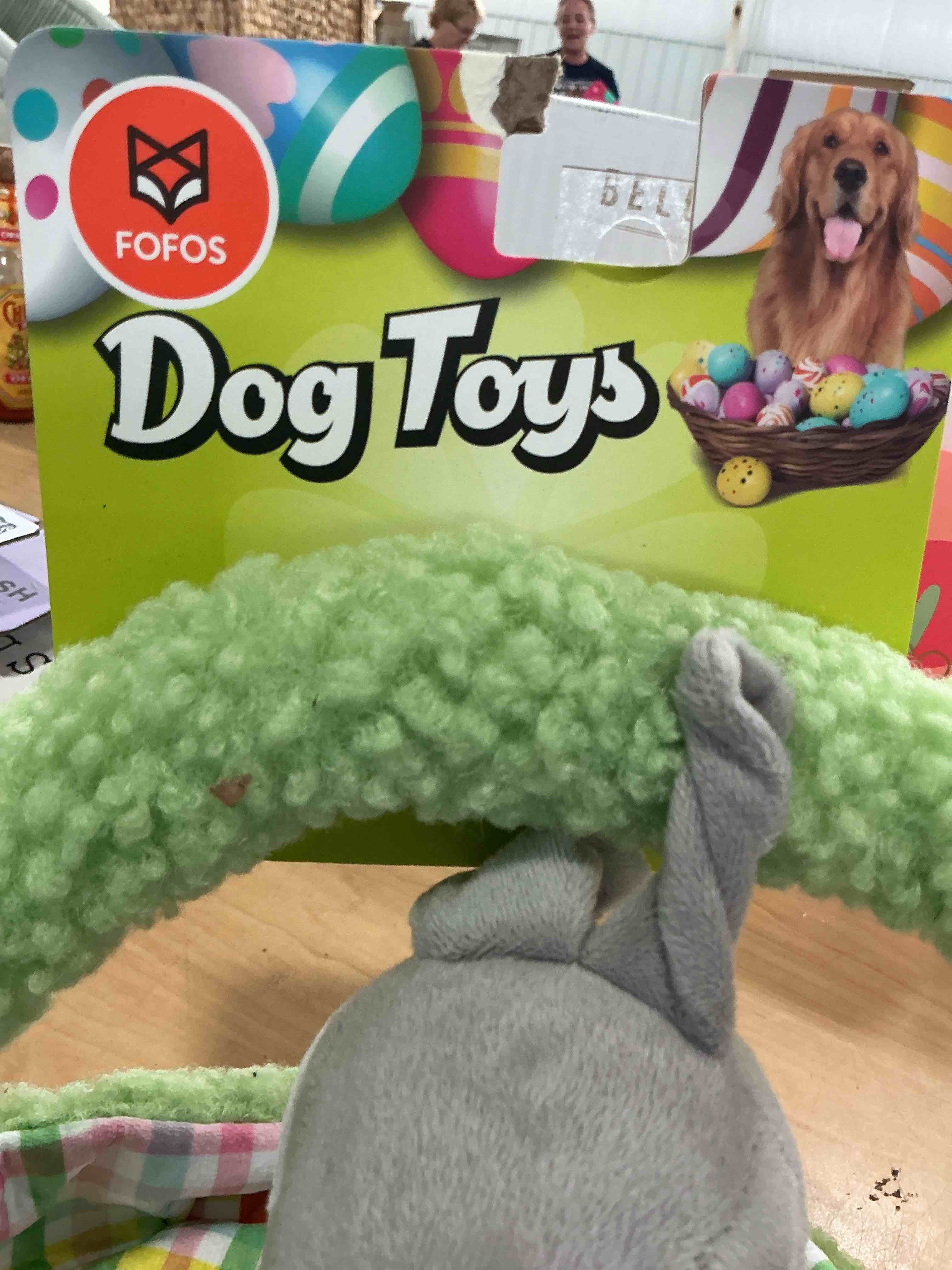 Condition photo showing Brand New for fofos dog toys, green basket, dog toy, squeaky toy