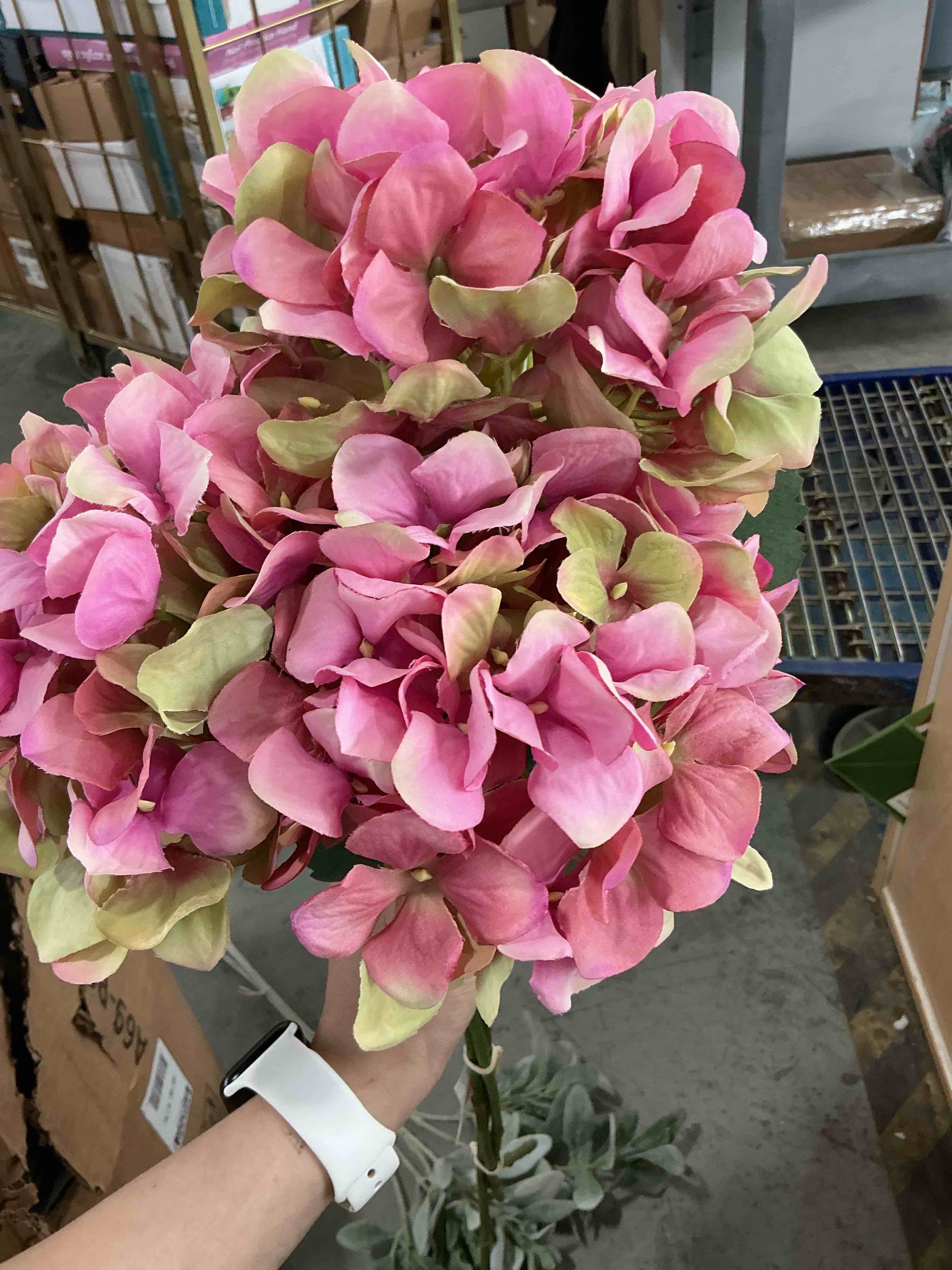 https://s3.amazonaws.com/lotting-images-prod/NonstopDeals/PNK4928299_1780688171476.jpeg