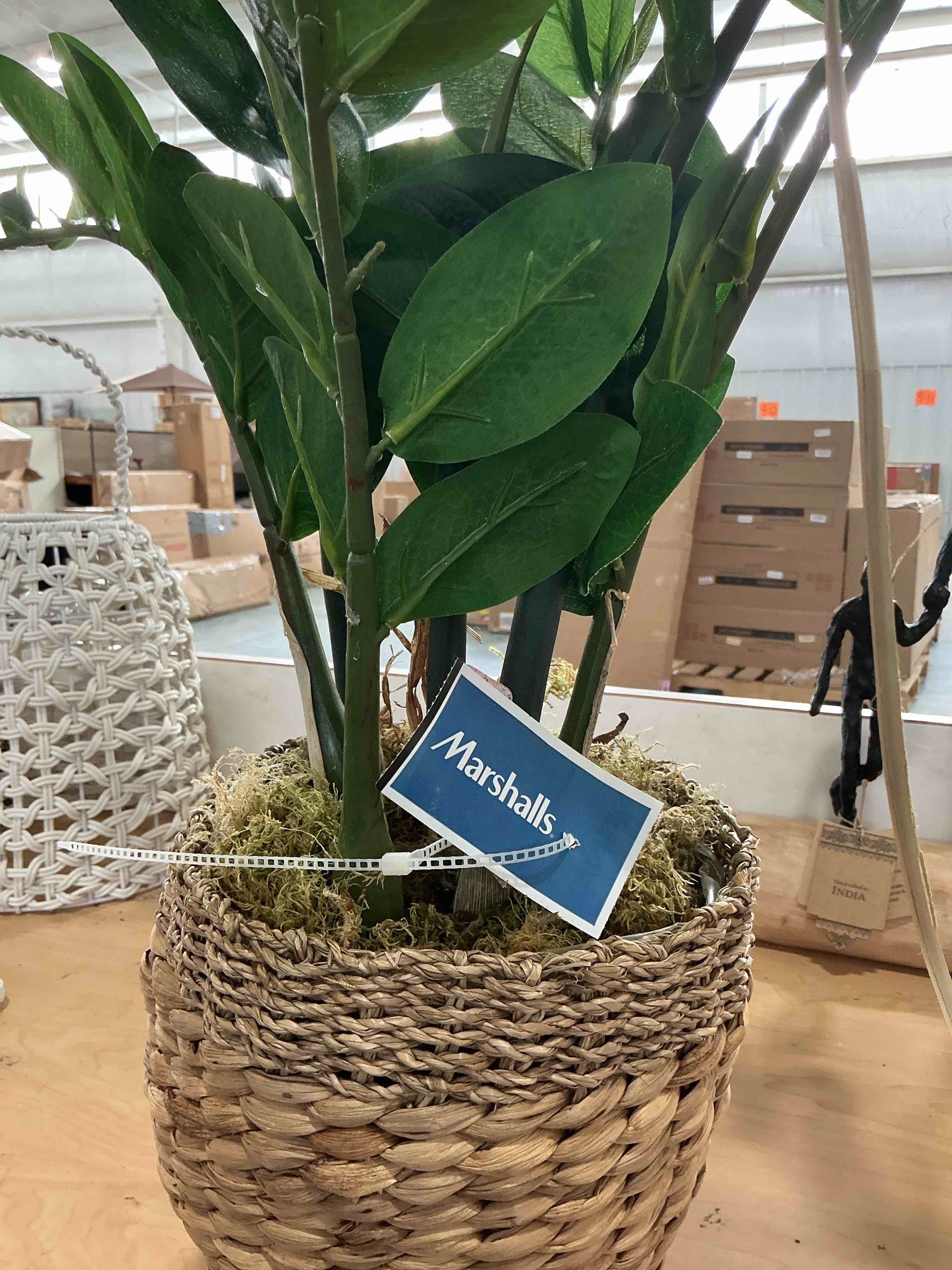 Condition photo showing Brand New for leaf&lull plant stand indoor small plant table for large plants wood plant stool tall plant holder for living room bedroom balcony white